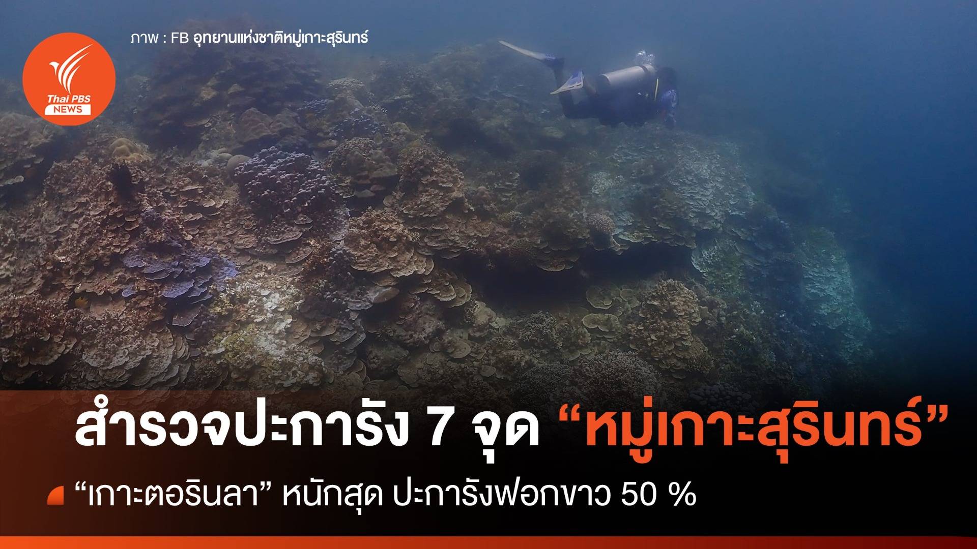สำรวจปะการัง อช.หมู่เกาะสุรินทร์ "เกาะตอรินลา" หนักสุดฟอกขาว 50 %