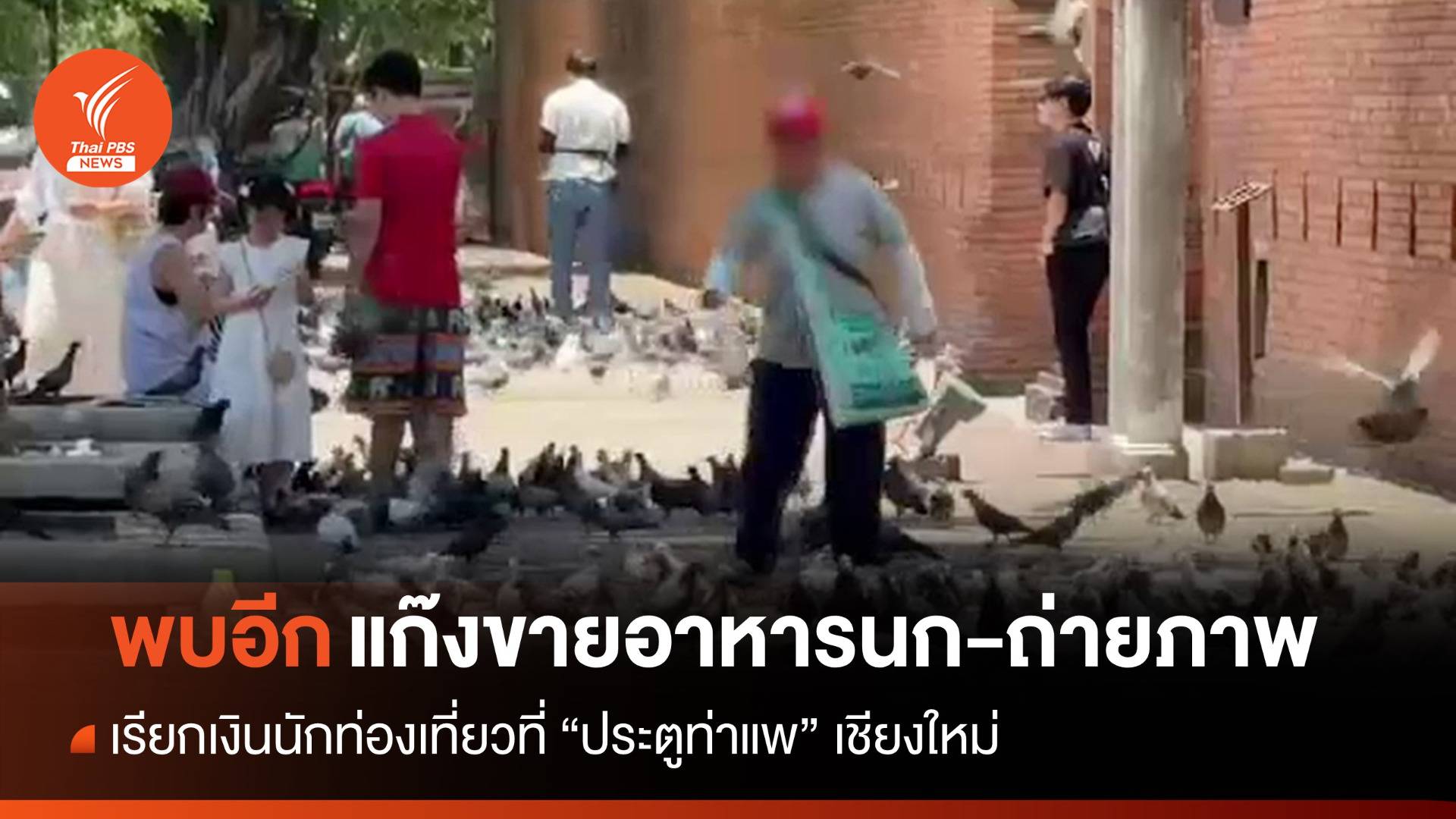 พบอีก! แก๊งขายอาหารนก-ถ่ายภาพ เรียกเงินนักท่องเที่ยวที่ท่าแพ