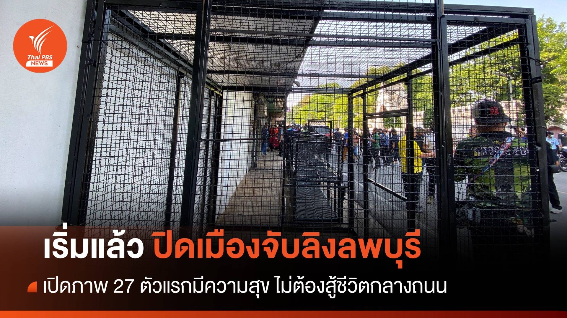 เริ่มแล้ว! ปิดเมืองจับลิงลพบุรี 23-28 พ.ค.เป้า 300 ตัว