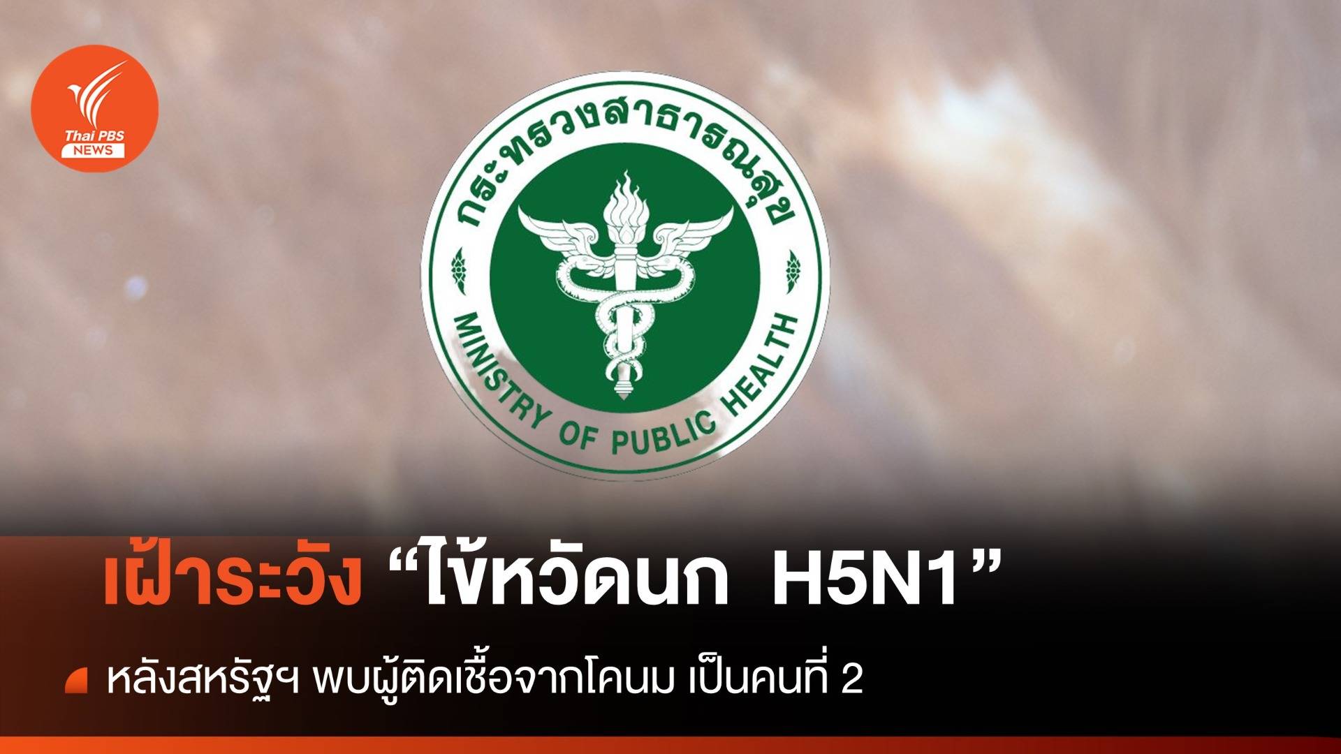 ไทยเฝ้าระวัง "ไข้หวัดนก H5N1" หลังสหรัฐฯ พบผู้ติดเชื้อจากโคนมเป็นคนที่ 2