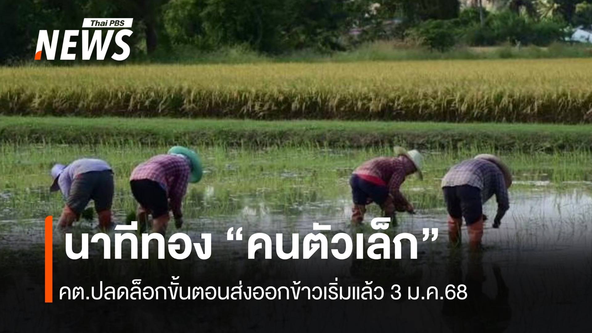 นาทีทองคนตัวเล็ก คต.ปลดล็อกขั้นตอนส่งออกข้าวเริ่มแล้ว 3 ม.ค.