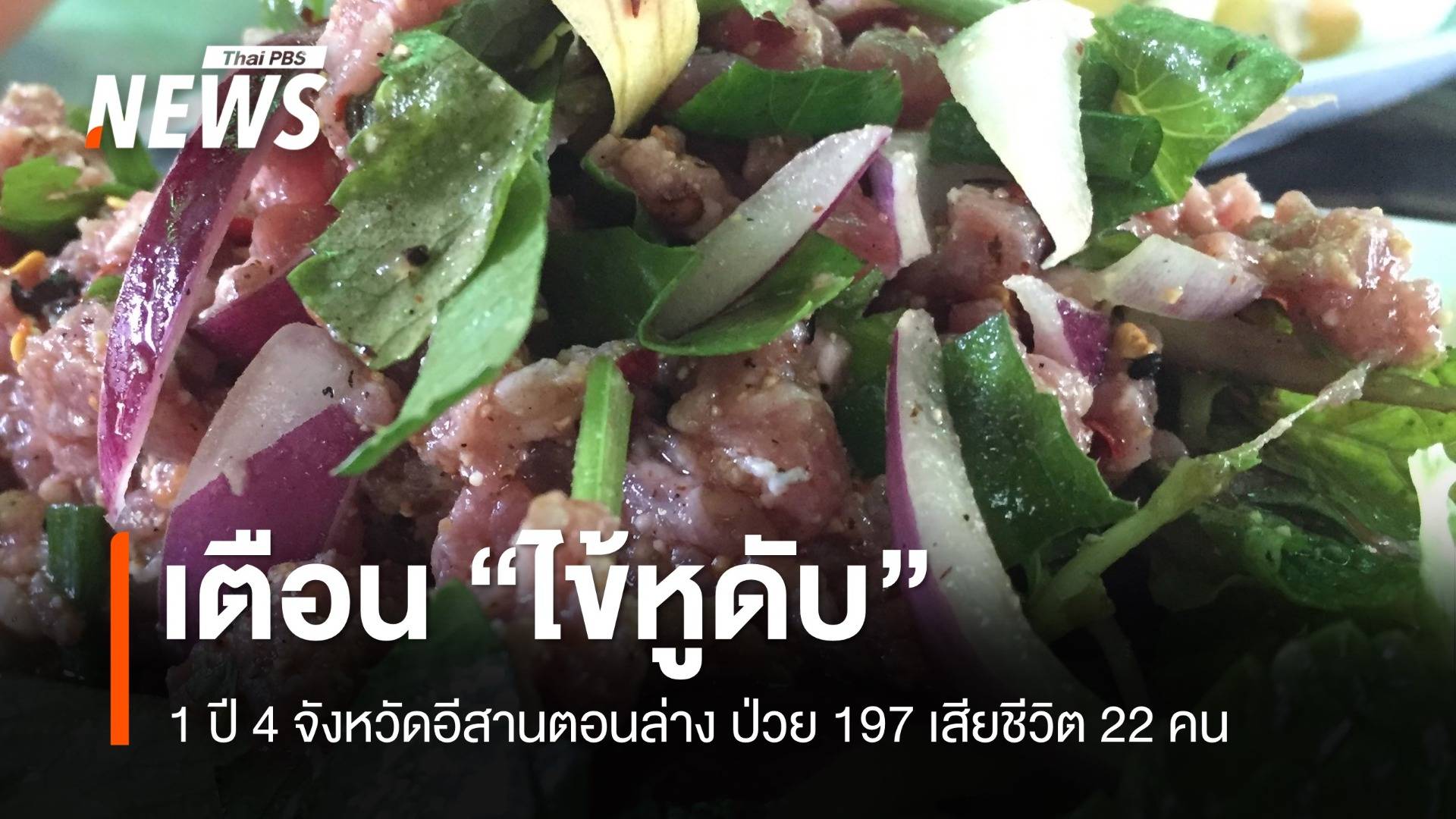 เปิดสถิติ 1 ปี 4 จังหวัดอีสานตอนล่าง "ไข้หูดับ" เสียชีวิต 22 คน