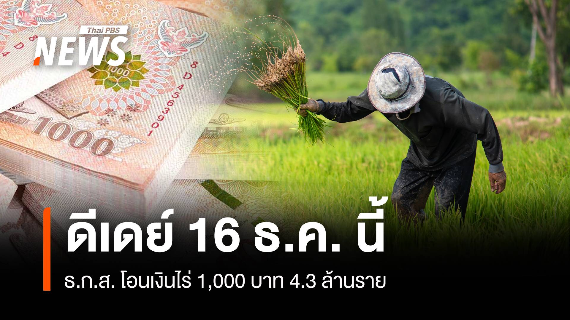 ดีเดย์ 16 ธ.ค. ธ.ก.ส. โอนเงินไร่ 1,000 บาท 4.3 ล้านราย