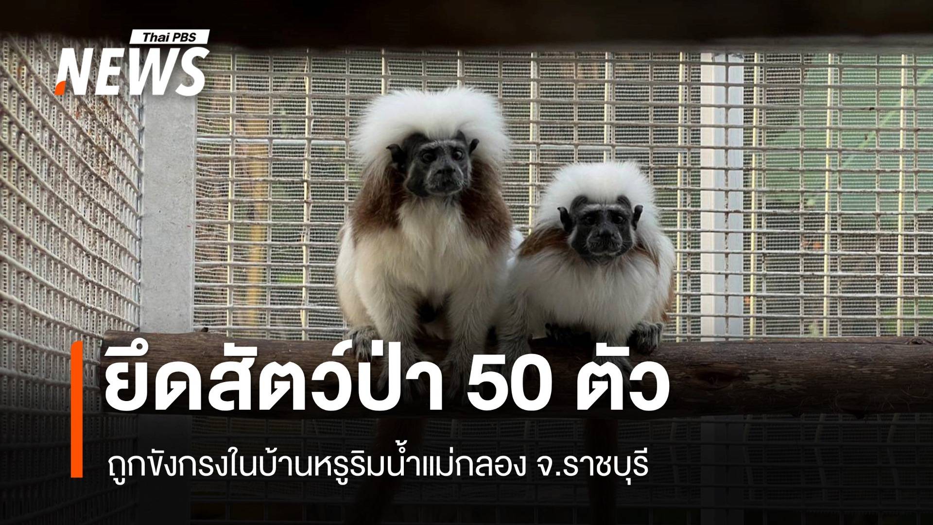 ยึดสัตว์ป่าใกล้สูญพันธุ์กว่า 50 ตัว ซุกบ้านหรูริมน้ำแม่กลอง 