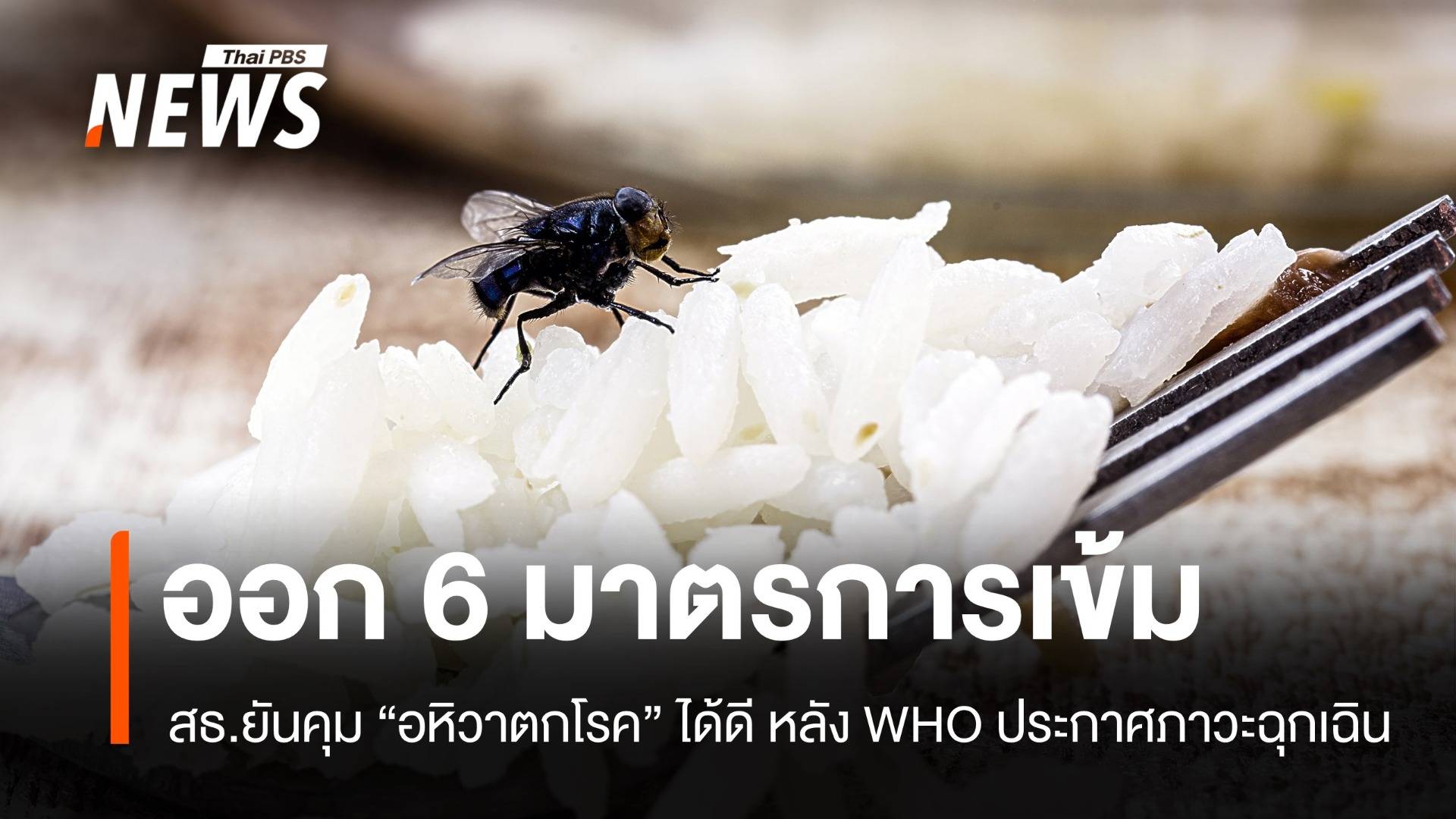 สธ.ยันคุม "อหิวาตกโรค" ได้หลัง WHO ประกาศภาวะฉุกเฉิน