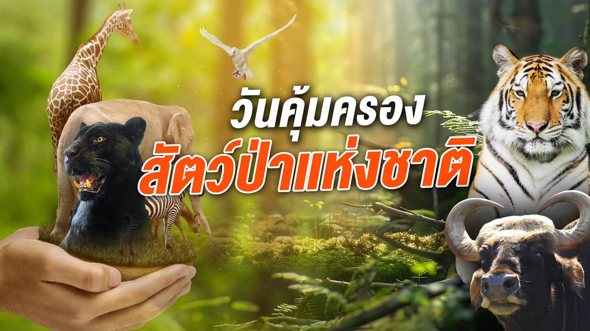 26 ธันวาคม วันคุ้มครองสัตว์ป่าแห่งชาติ มารู้จัก "สัตว์ป่าสงวน-คุ้มครอง" 