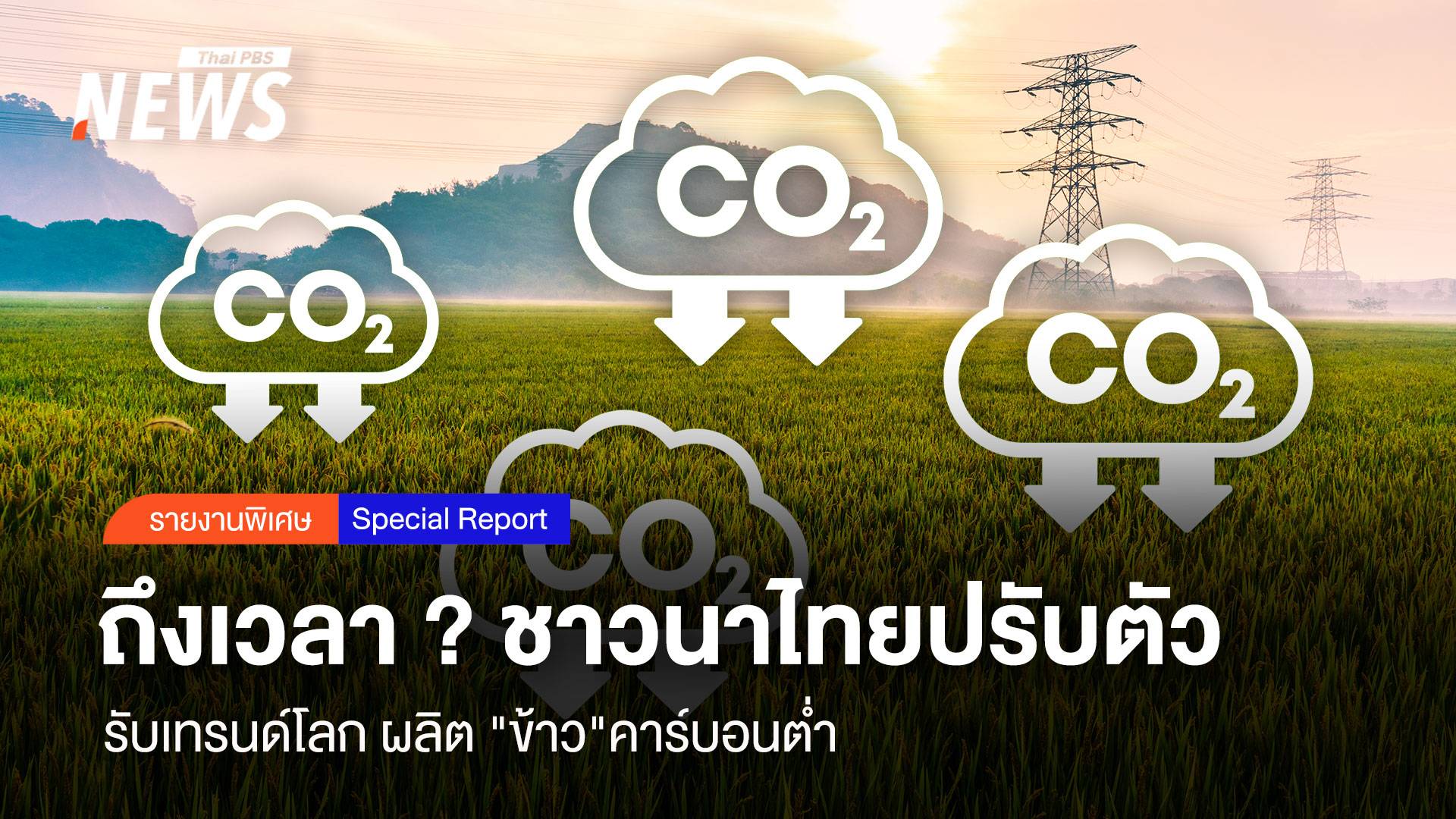 ถึงเวลา ? ชาวนาไทยปรับตัวรับเทรนด์โลก ผลิต "ข้าว"คาร์บอนต่ำ