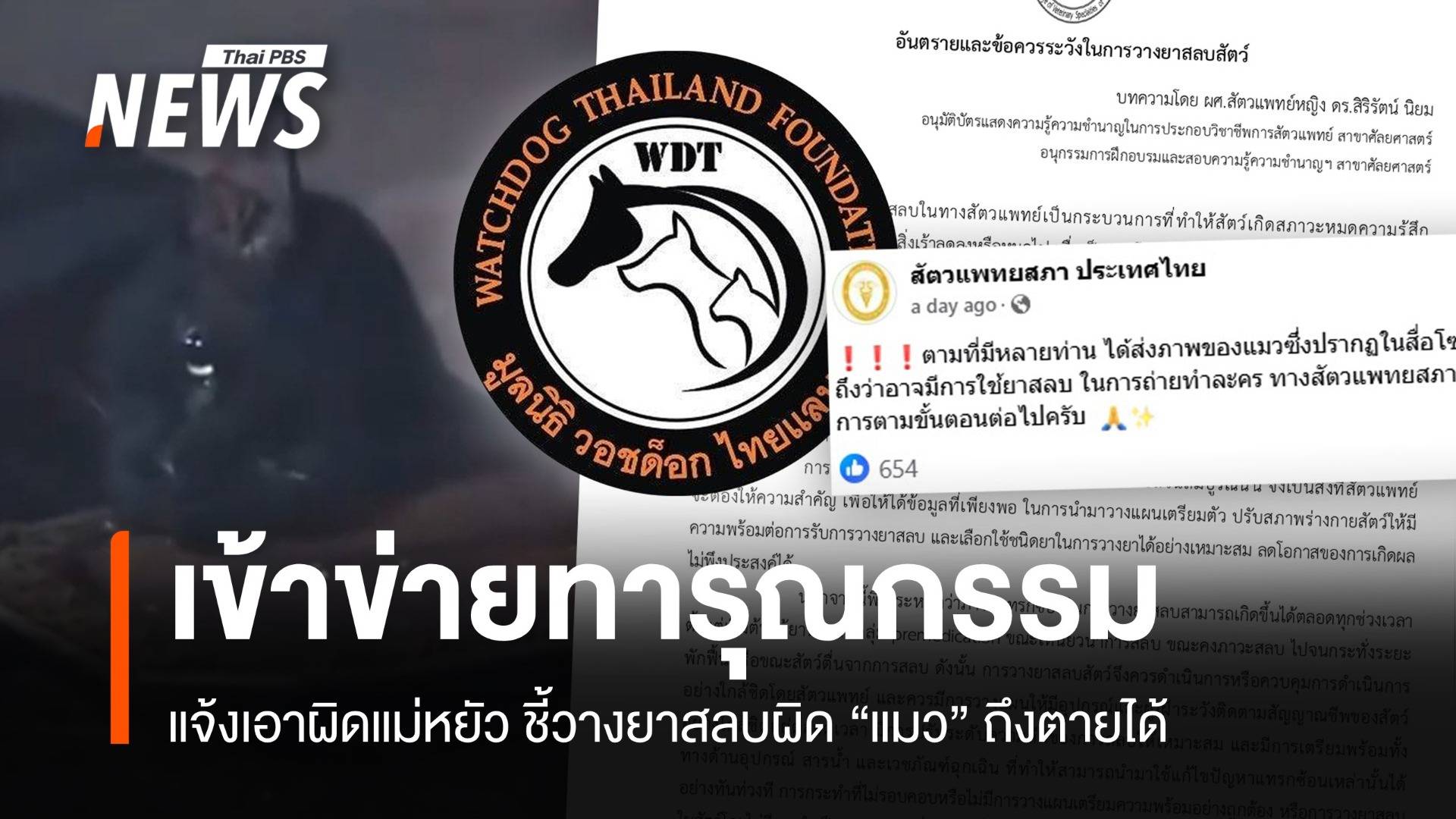 "วอชด็อก" จ่อแจ้งเอาผิดฉากแม่หยัว "วางยาแมว"