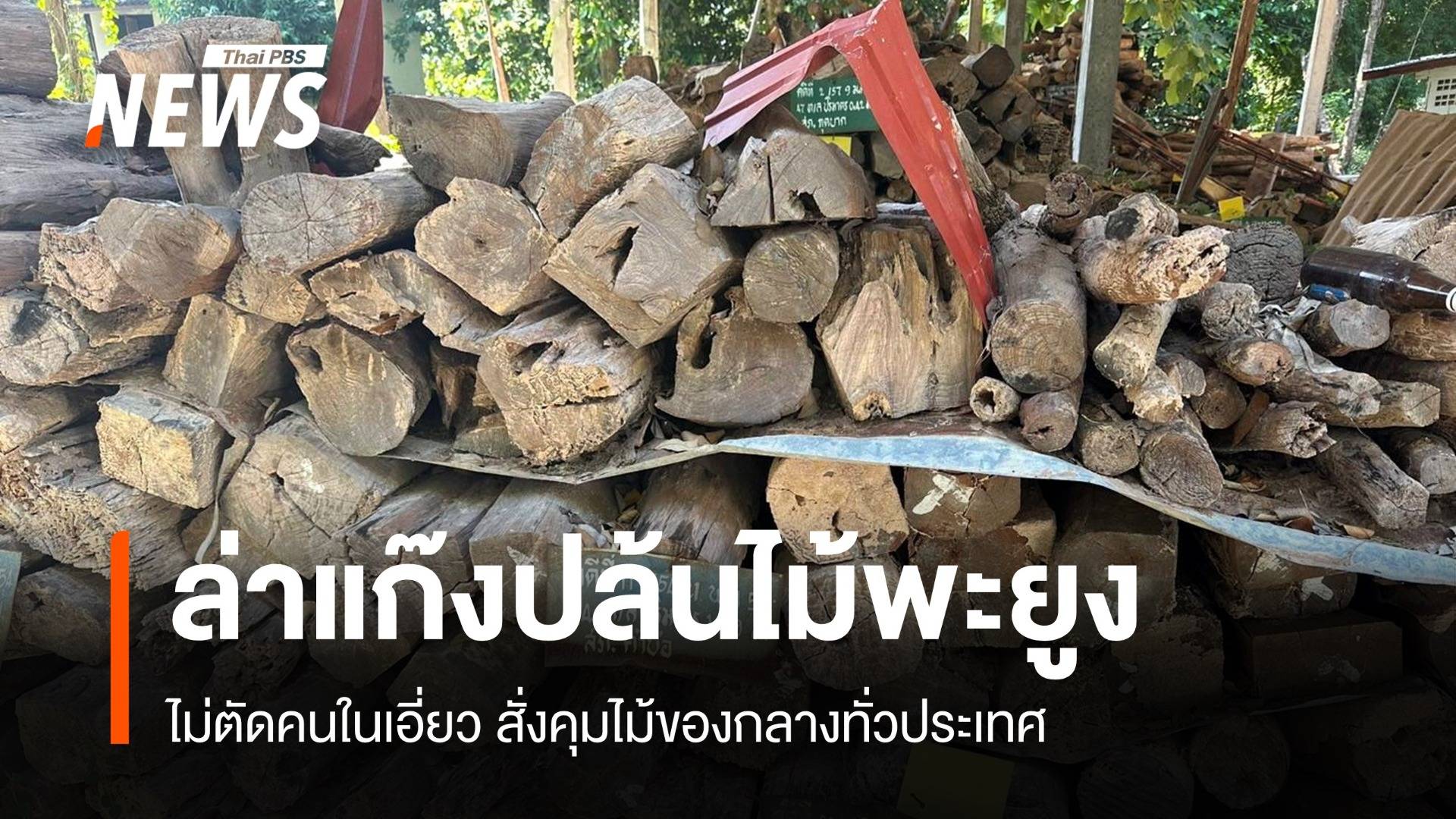 เร่งล่า 5 ผู้ก่อเหตุปล้นไม้พะยูง-ปืน-ไม่ตัดทิ้งคนในเอี่ยว