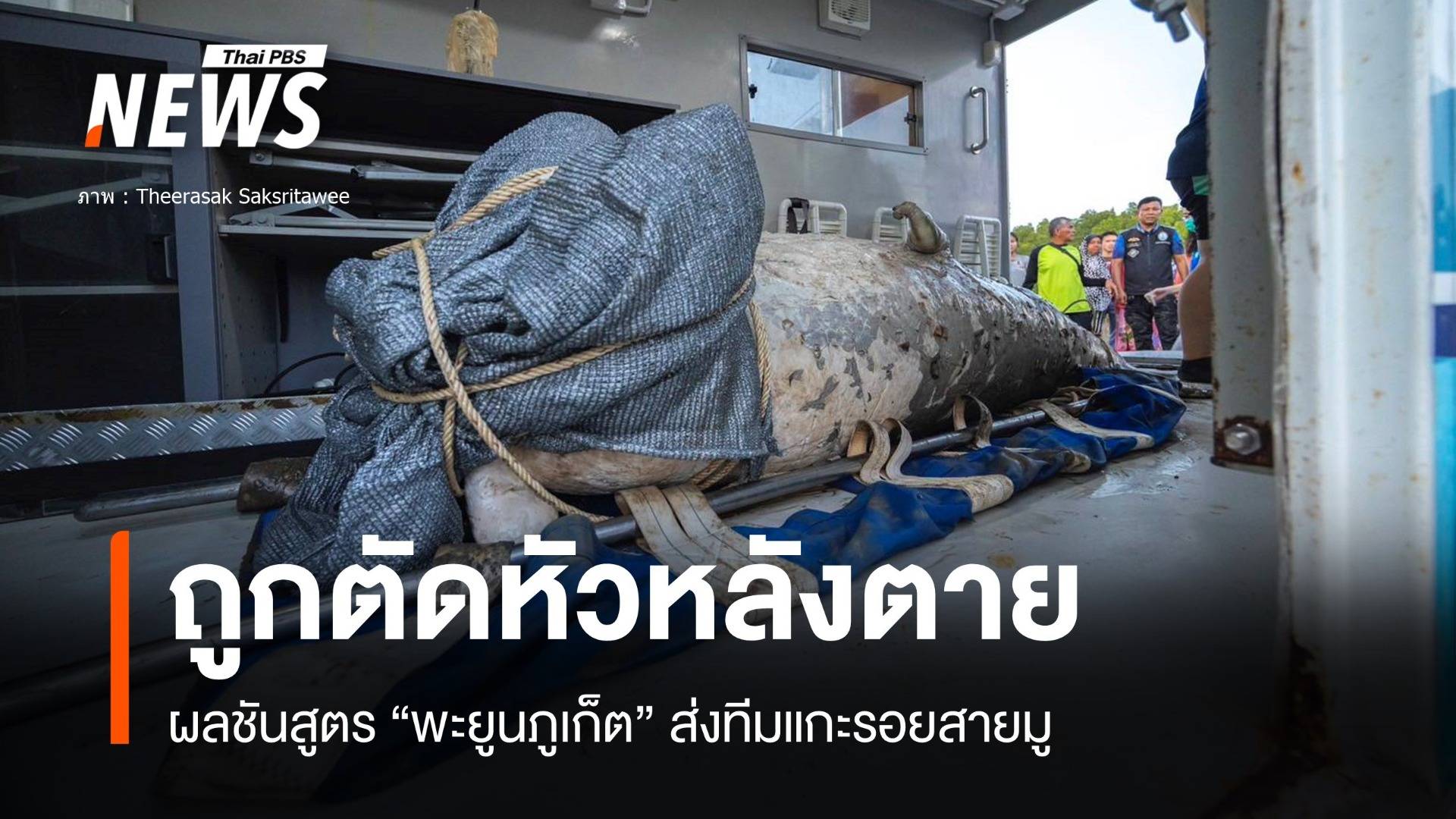 ผลชันสูตร "พะยูนถูกตัดหัว" ถูกของมีคมตัดหลังตาย