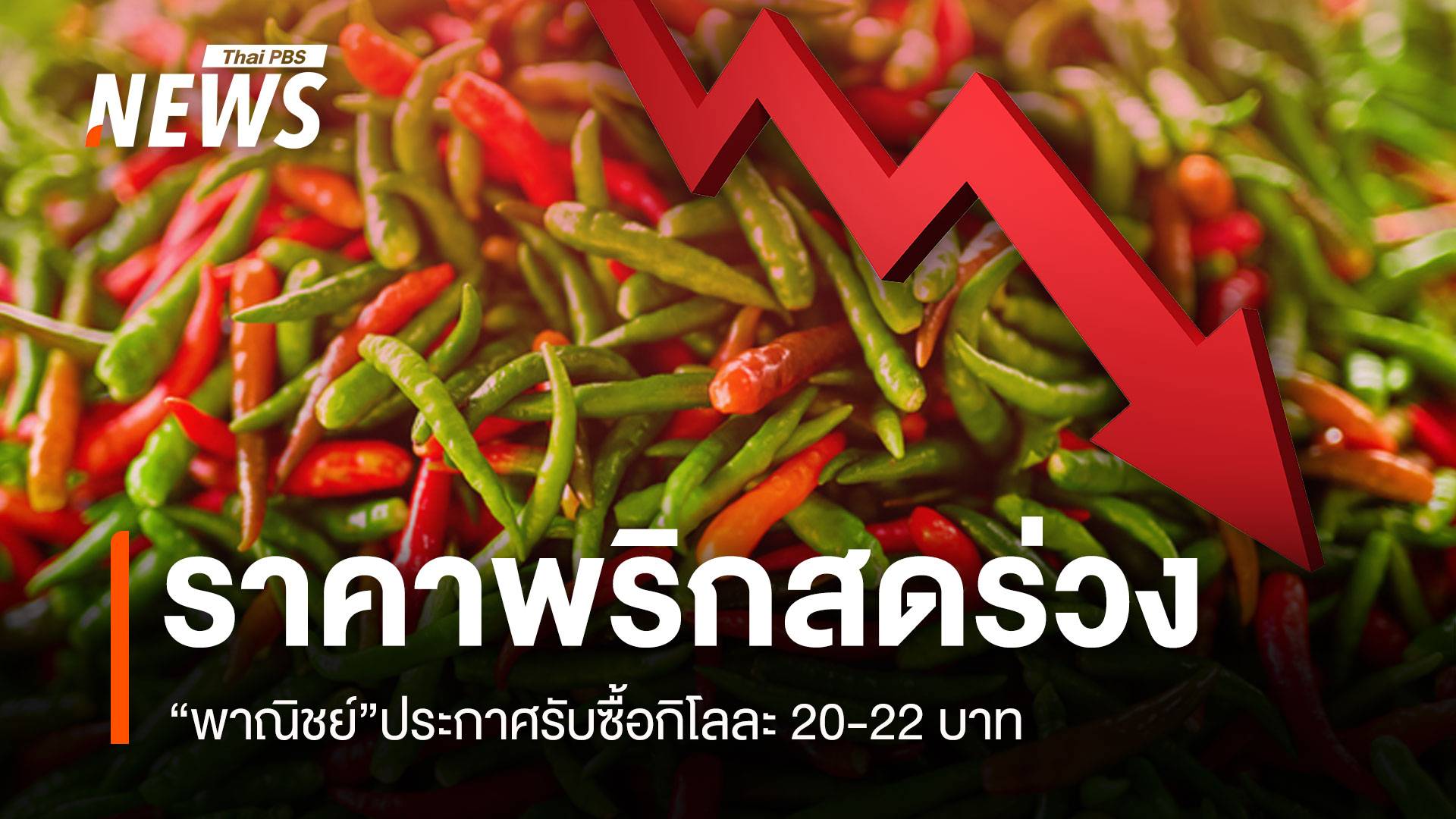 ราคาพริกสดร่วง“พาณิชย์”ประกาศรับซื้อกิโลละ 20-22 บาท