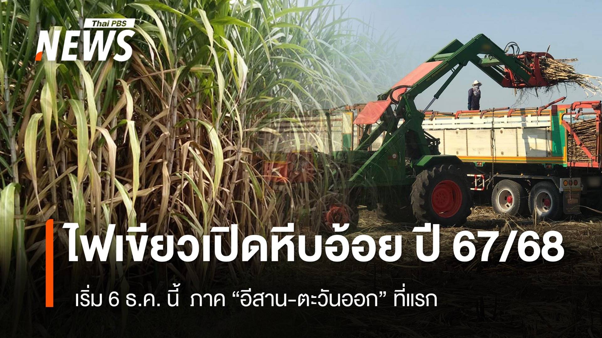 บอร์ด กอน.ไฟเขียวเปิดหีบอ้อย ปี 67/68 เริ่ม 6 ธ.ค. นี้ 