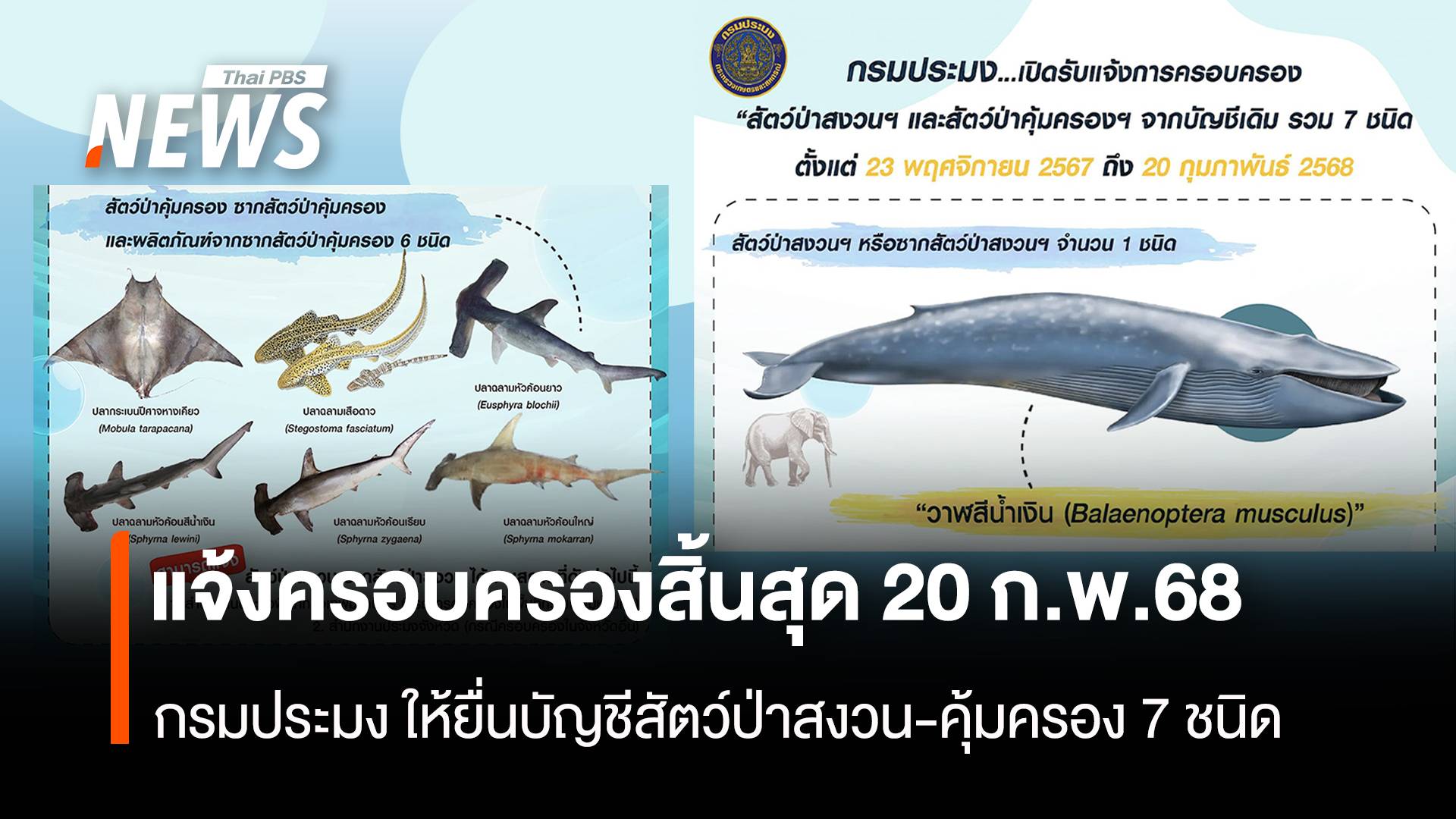 เช็กขั้นตอนแจ้งครอบครองสัตว์ป่าสงวนอีก 7 ชนิดสิ้นสุด 20 ก.พ.68 