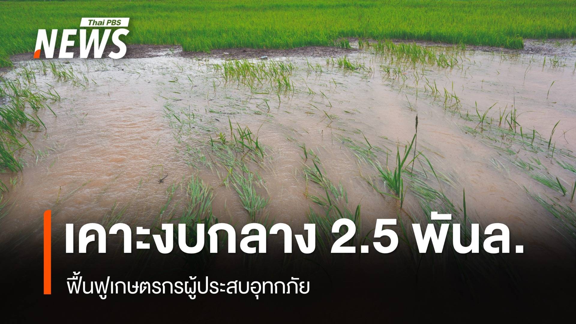 ครม.อนุมัติงบกลาง 2,553 ล้านบาท ฟื้นฟูเกษตรกรน้ำท่วม