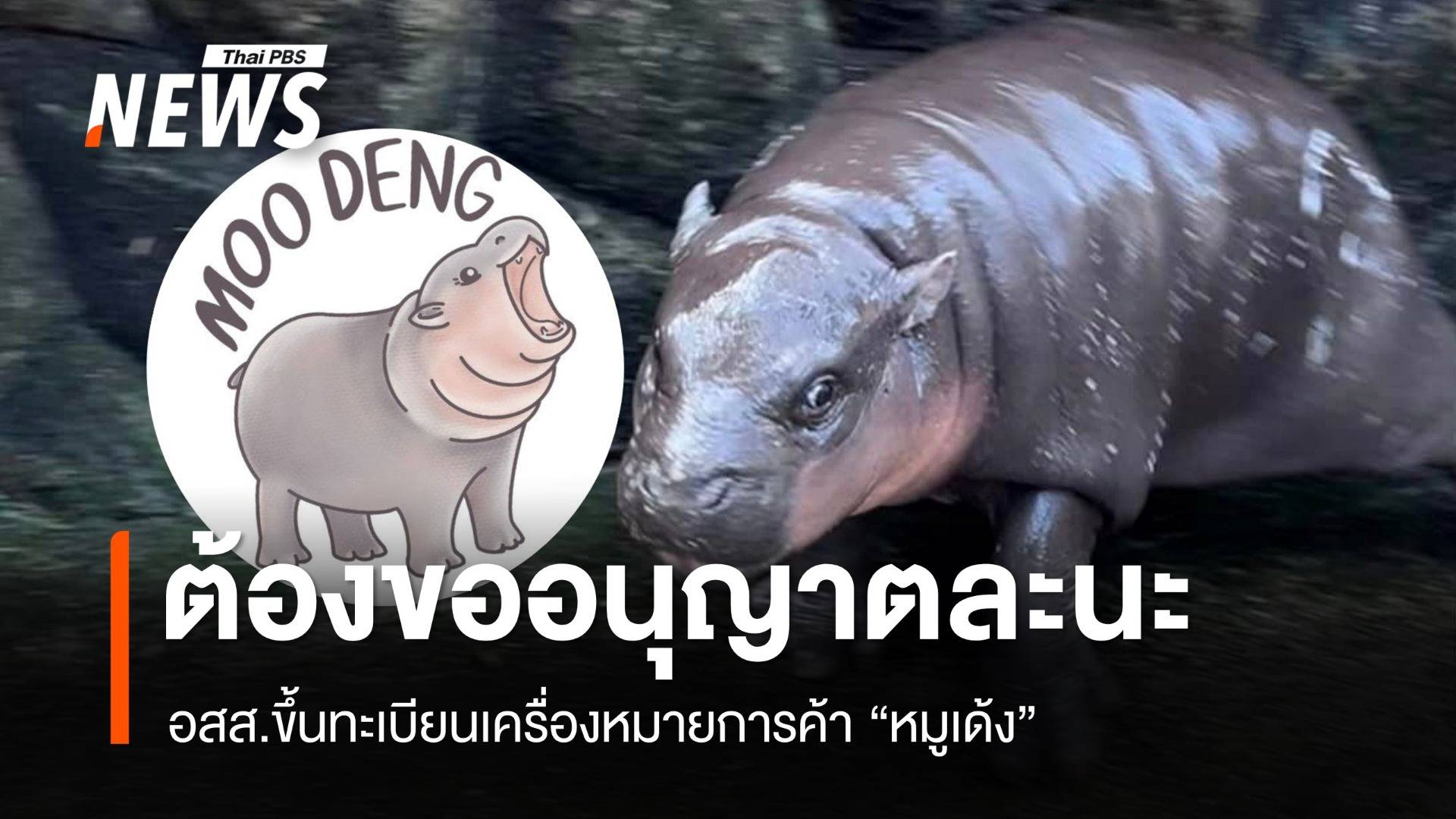 ต้องขออนุญาตแล้วนะ! อสส.ขึ้นทะเบียนเครื่องหมายการค้า "หมูเด้ง"