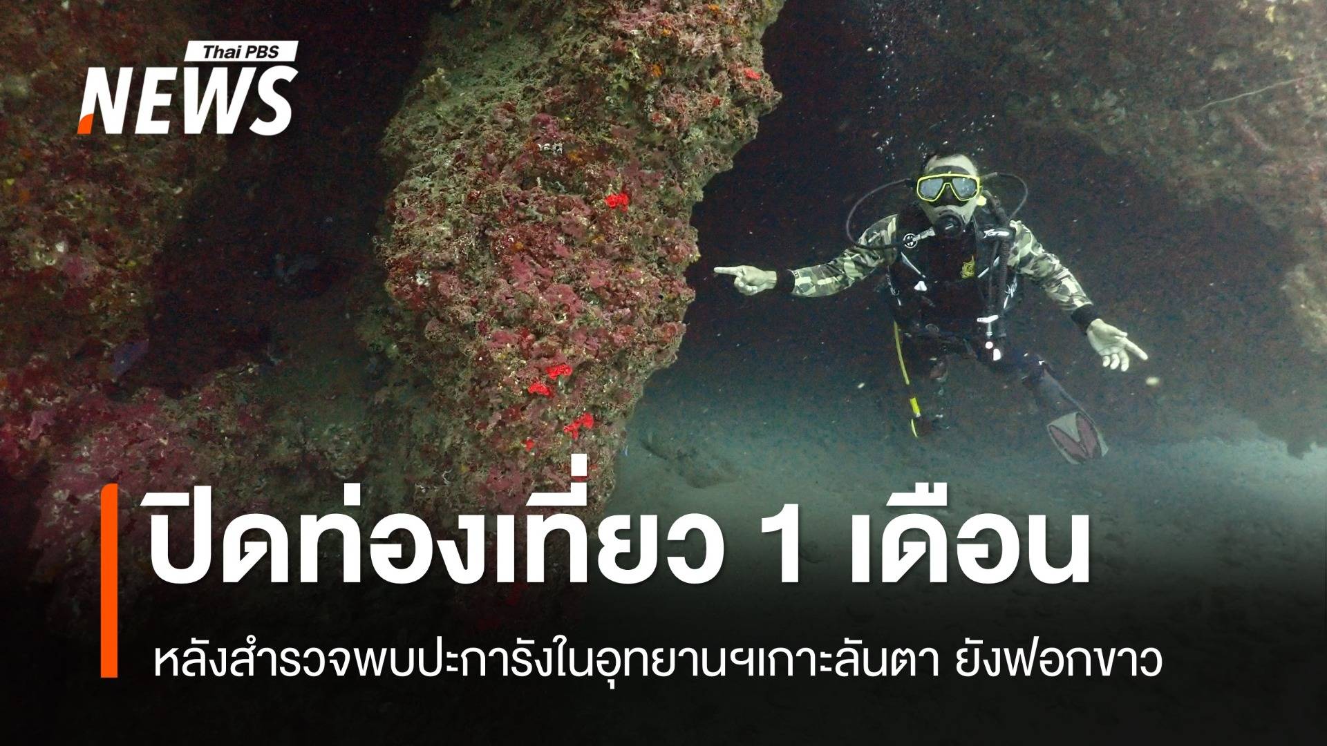 พบปะการังเกาะลันตาส่วนใหญ่ยังฟอกขาว ปิดท่องเที่ยว 1 เดือน 