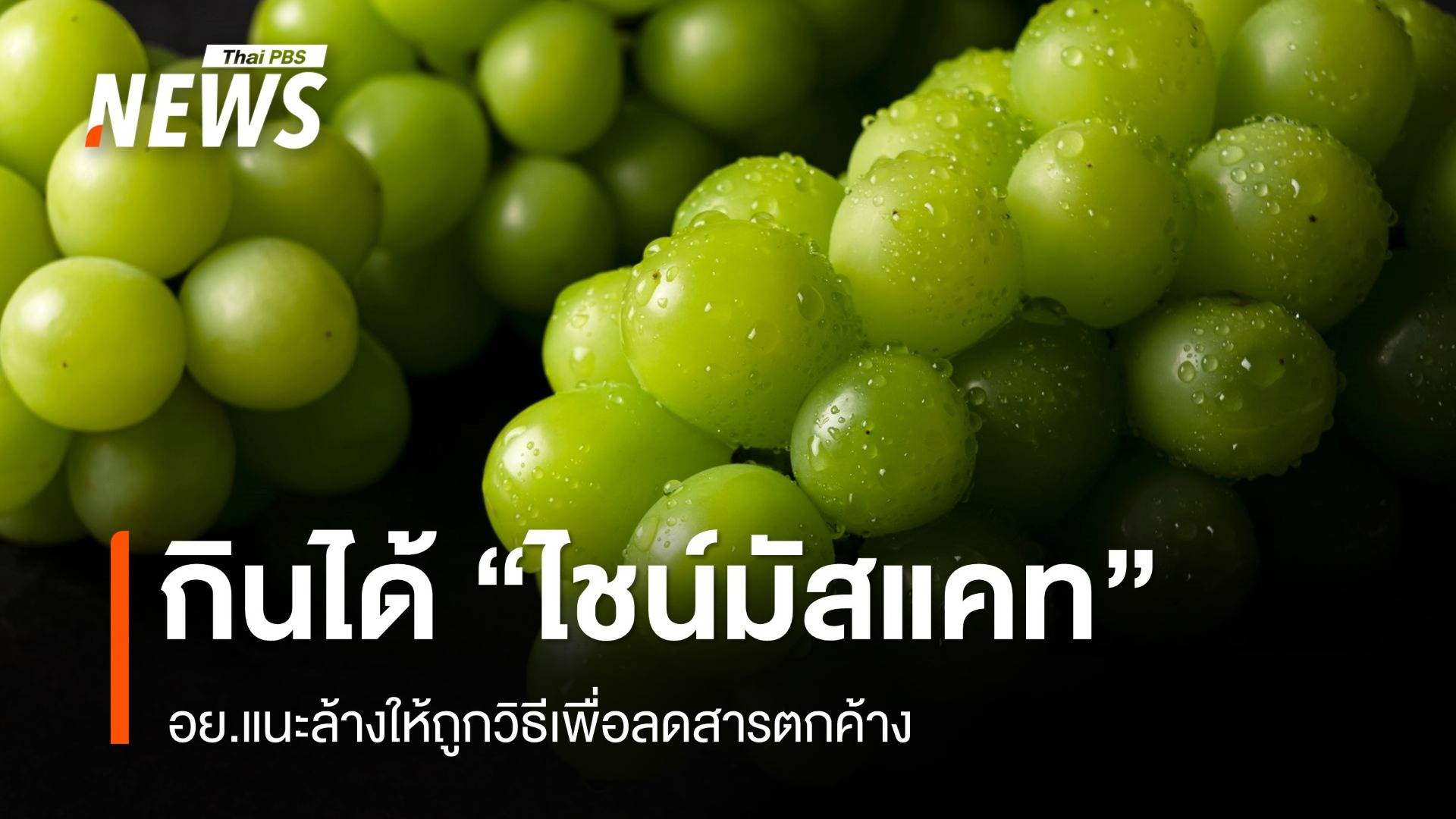 กินได้ "องุ่นไชน์มัสแคท" อย.แนะล้างให้ถูกวิธีเพื่อลดสารตกค้าง