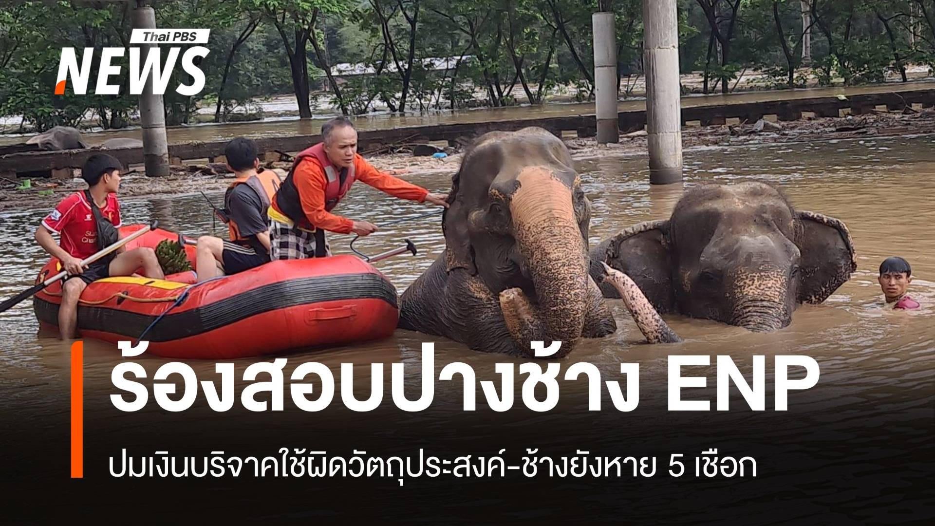 ร้องกมธ.ปมช้าง ENP จมน้ำตายยังหาย 5 เชือก กังขาเงินบริจาค