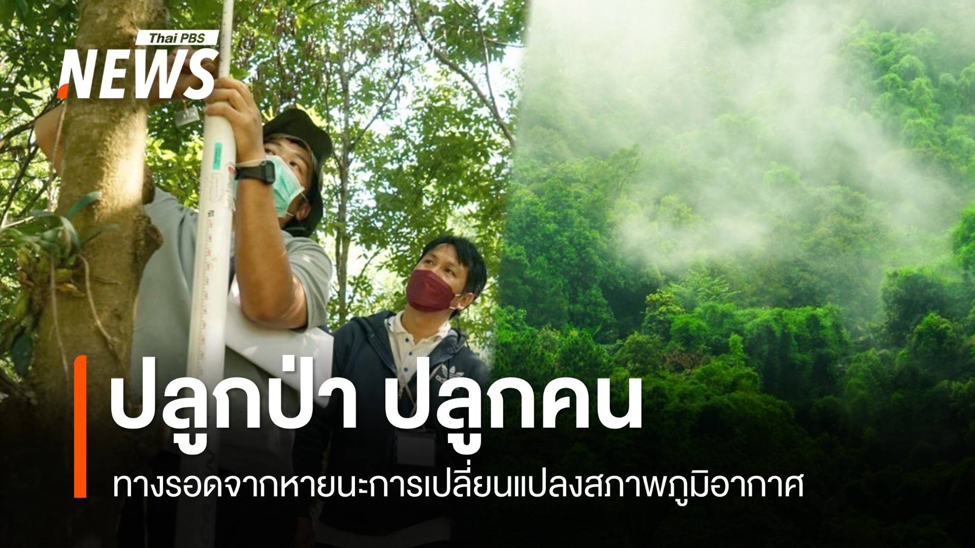 ไทยเดินหน้าขยายป่าชุมชน บรรลุเป้าหมาย "ข้อตกลงปารีส" ลดโลกร้อน 