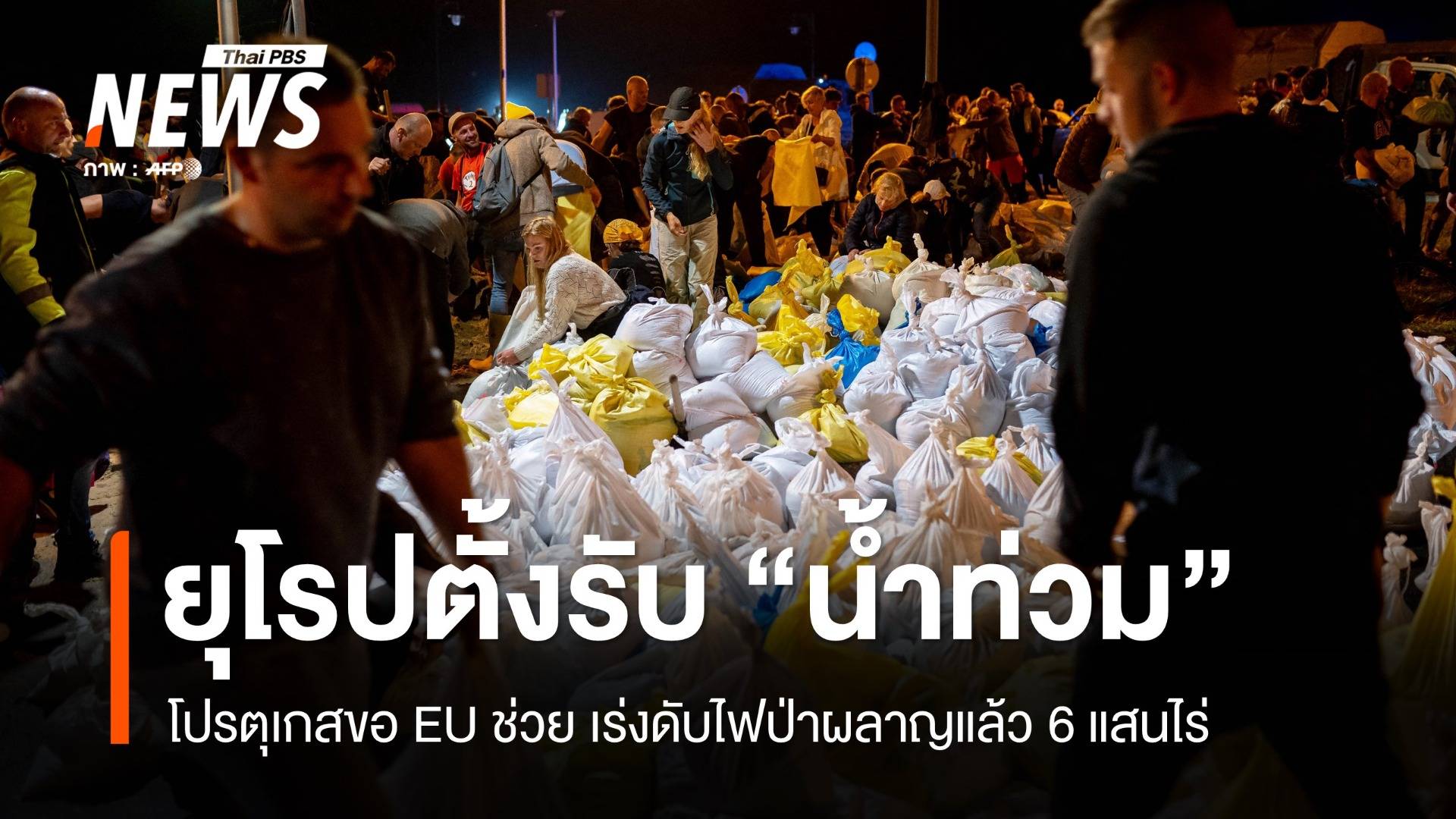 ยุโรปเดินหน้าตั้งรับ "น้ำท่วม" - โปรตุเกสเร่งดับไฟป่าขอ EU เร่งช่วย