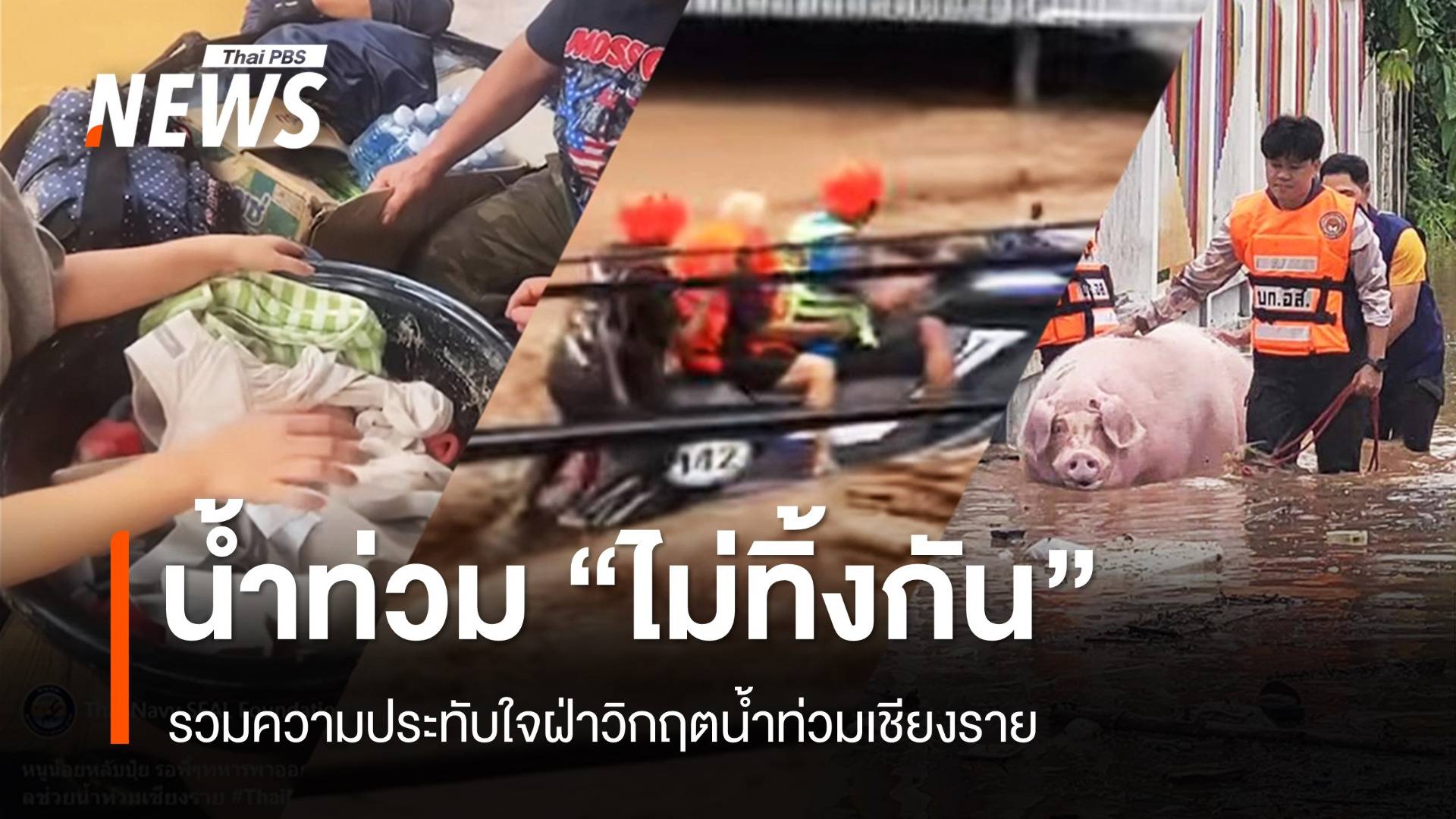 รวมความประทับใจ "คนไทยไม่ทิ้งกัน" ฝ่าวิกฤตน้ำท่วมเชียงราย