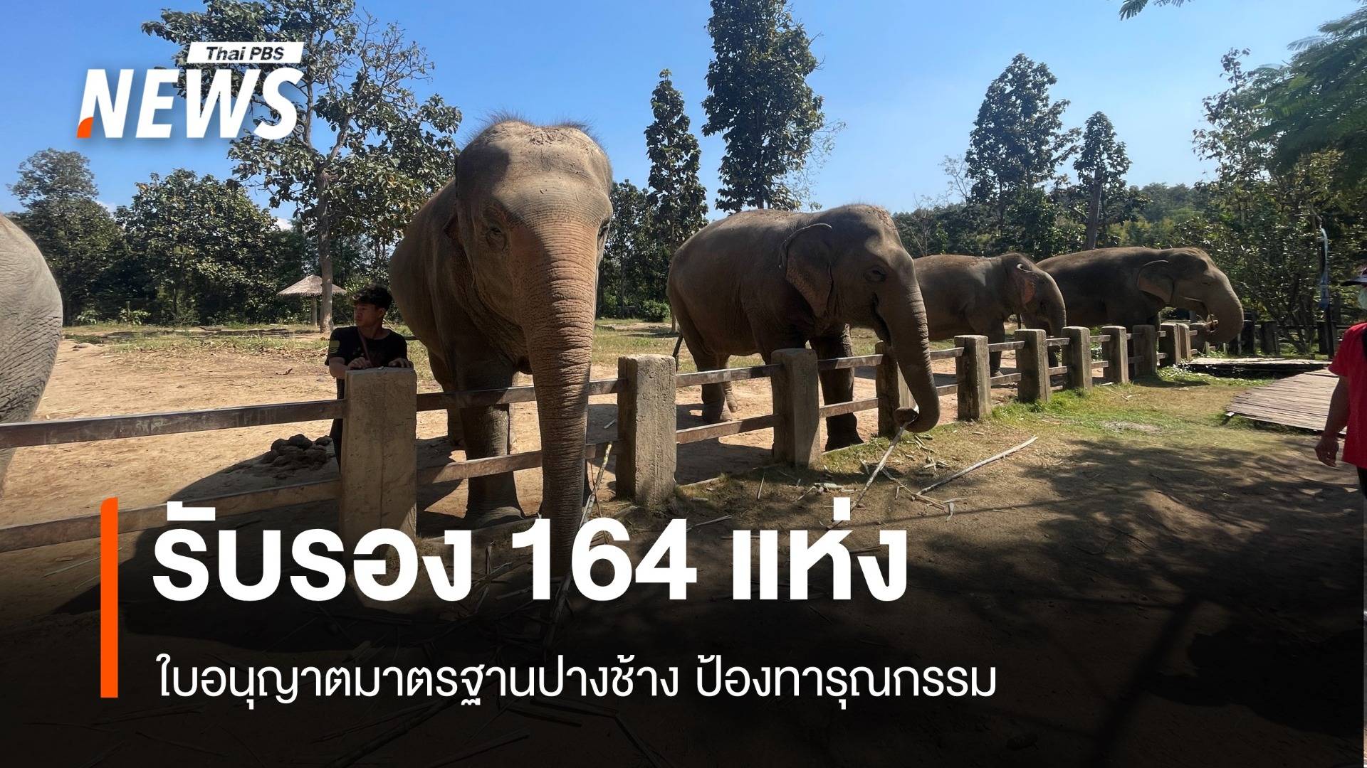 164 ปางช้างตื่นตัวยื่นขอใบอนุญาตรับรองมาตรฐาน