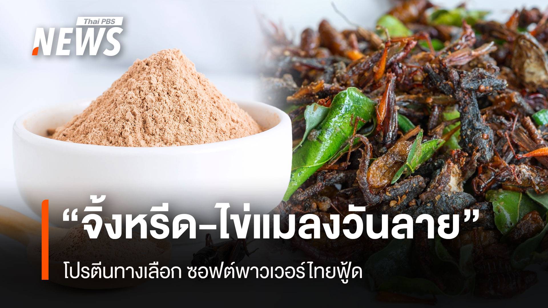  "จิ้งหรีด-ไข่แมลงวันลาย"โปรตีนทางเลือก ซอฟต์พาวเวอร์ไทยฟู้ด 