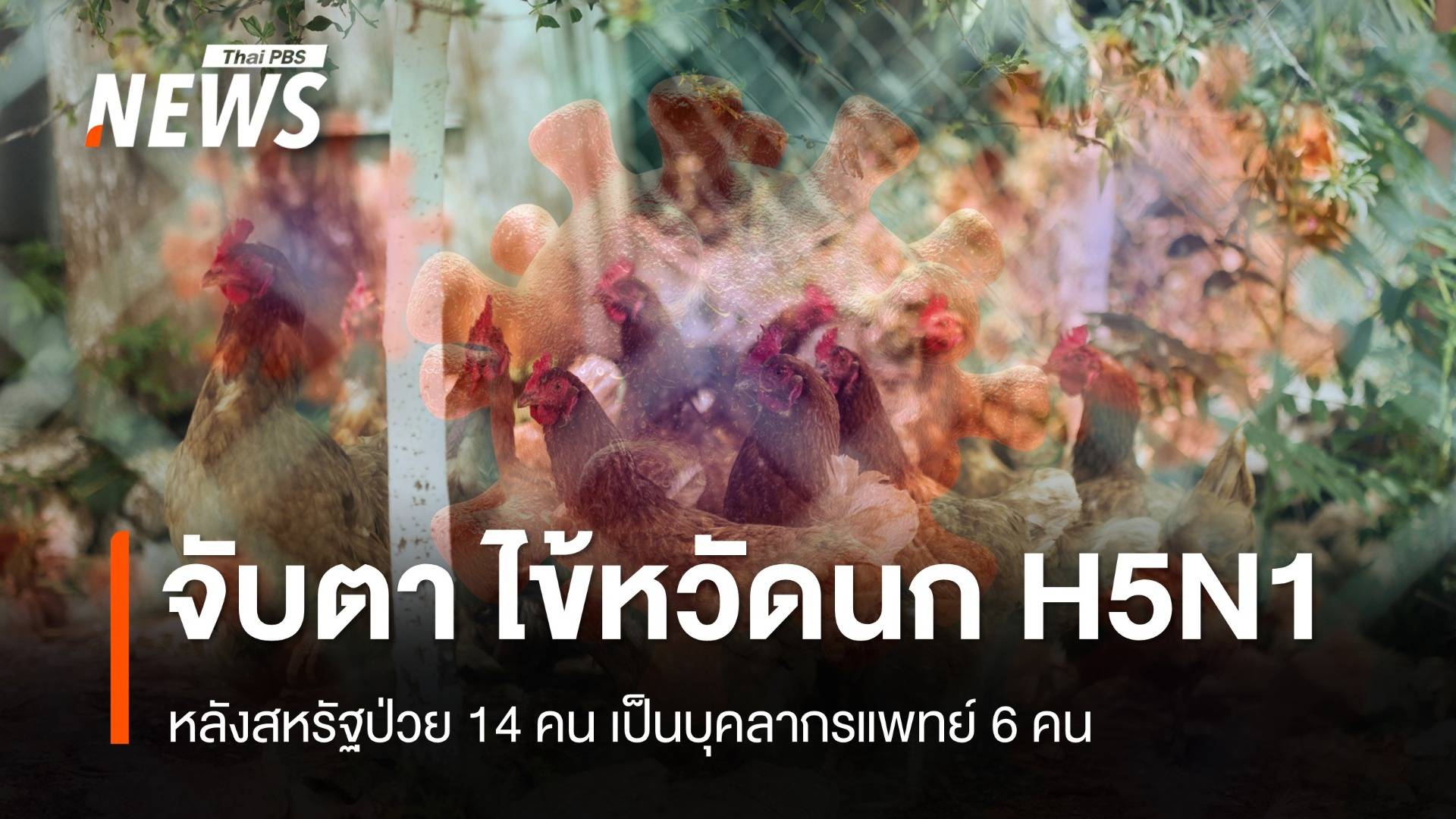 สธ.จับตา "ไข้หวัดนก H5N1" หลังสหรัฐป่วย 14 คน เป็นบุคลากรแพทย์ 6 คน