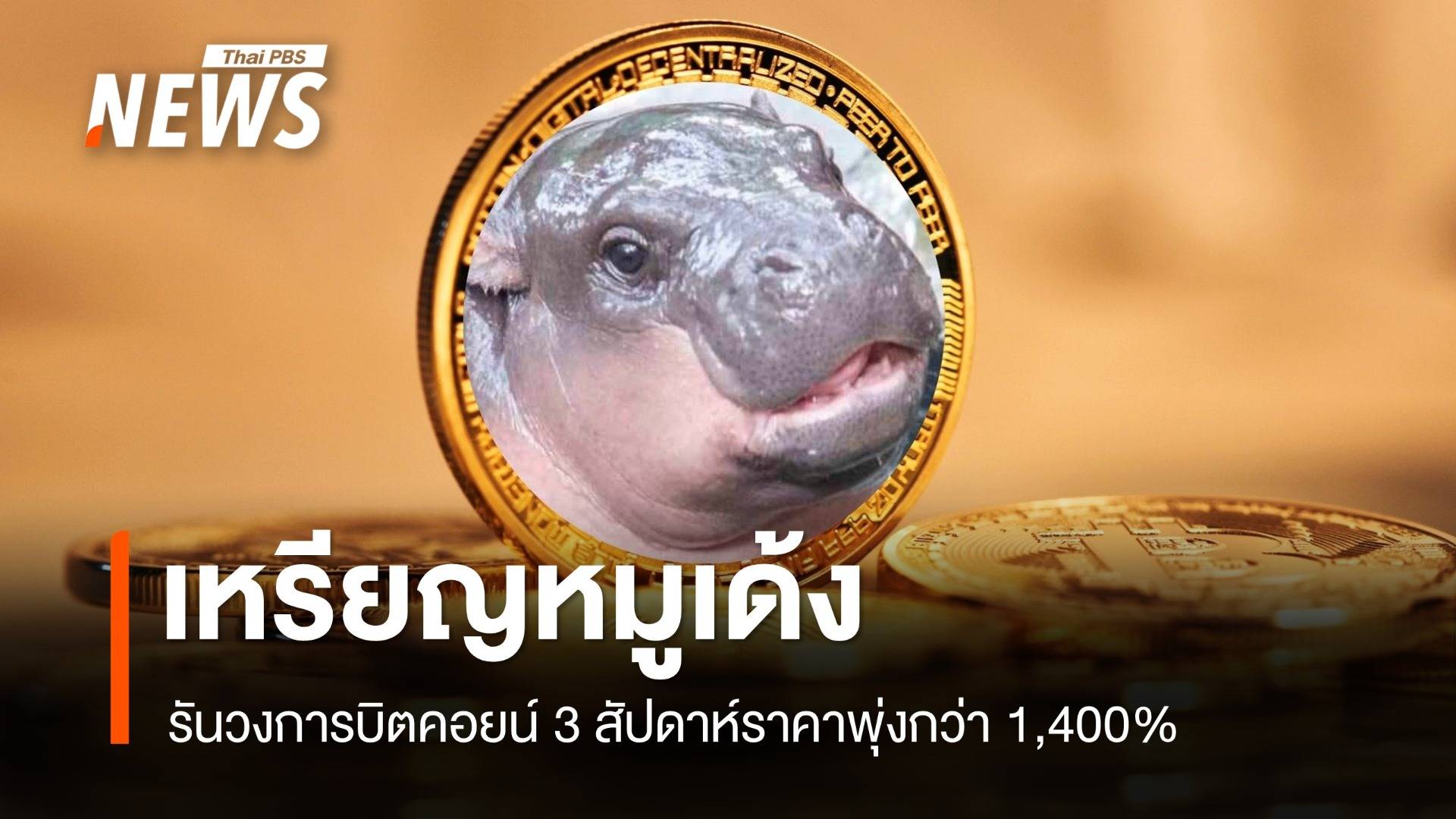 "หมูเด้ง" รันวงการบิตคอยน์ เมลเบิร์นส่ง "เพสโต้" ประชันความดัง