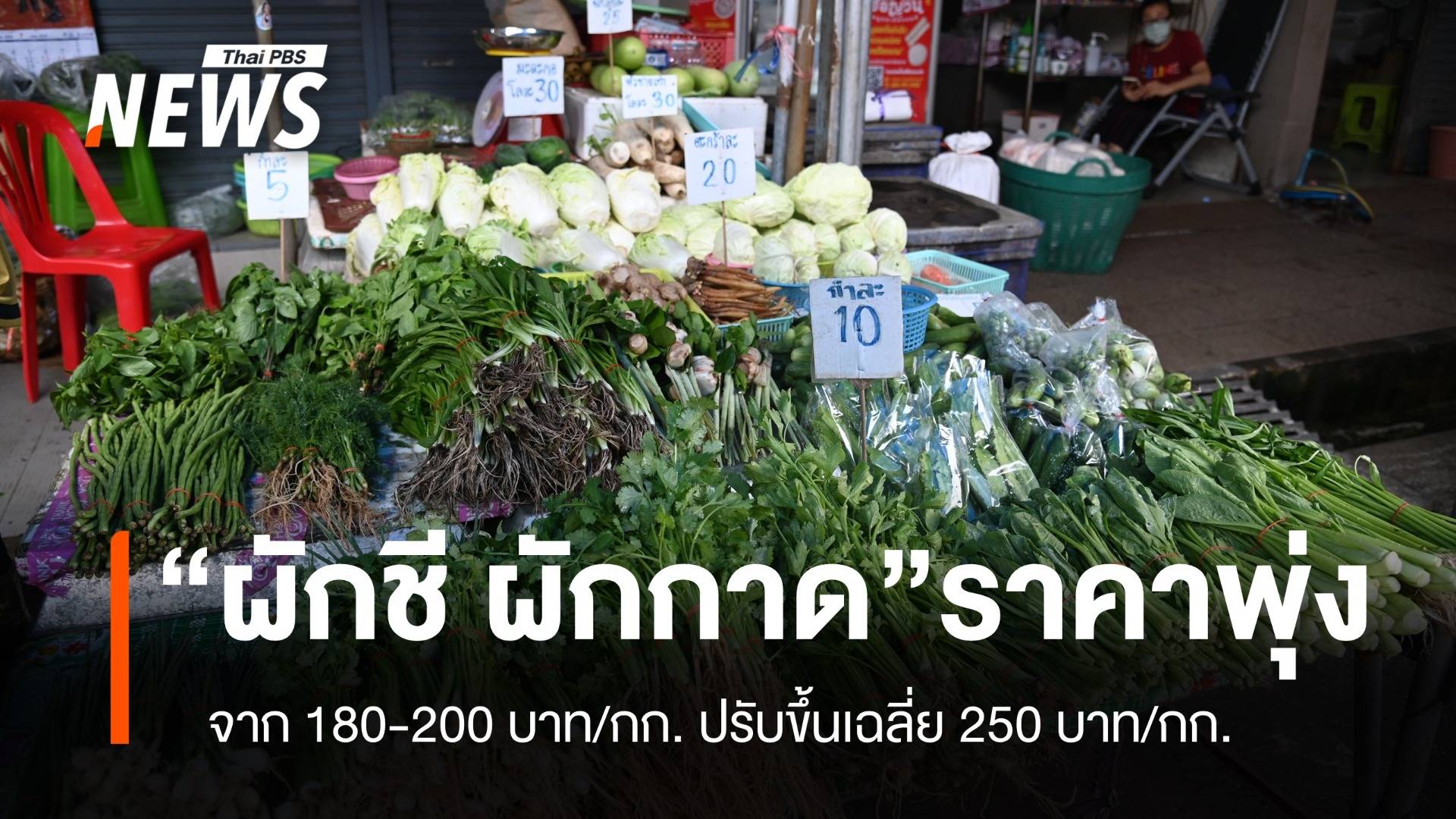 น้ำท่วม ผักแพงทำ "ผักชี-ผักกาดลุ้ย" ราคาพุ่ง 250 บาท/กก.  