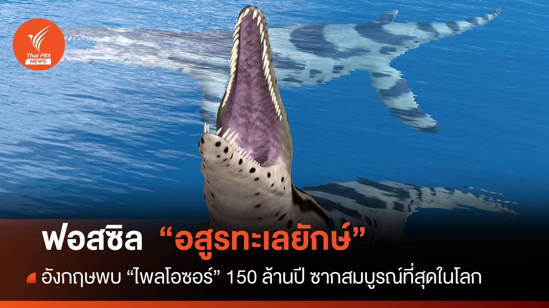 อังกฤษพบฟอสซิล "อสูรทะเลยักษ์" 150 ล้านปีแรงกัดเทียบชั้น T-Rex