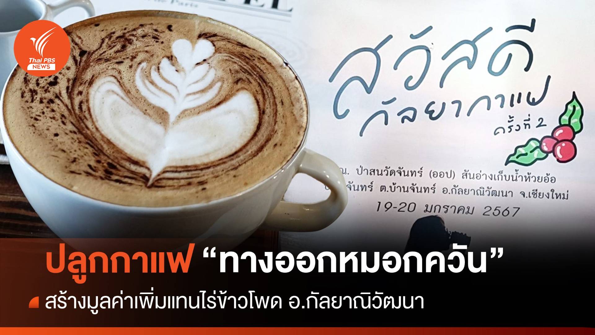 ดันปลูก "กาแฟกัลยาฯ" ทางออกแก้ปัญหา "หมอกควัน"