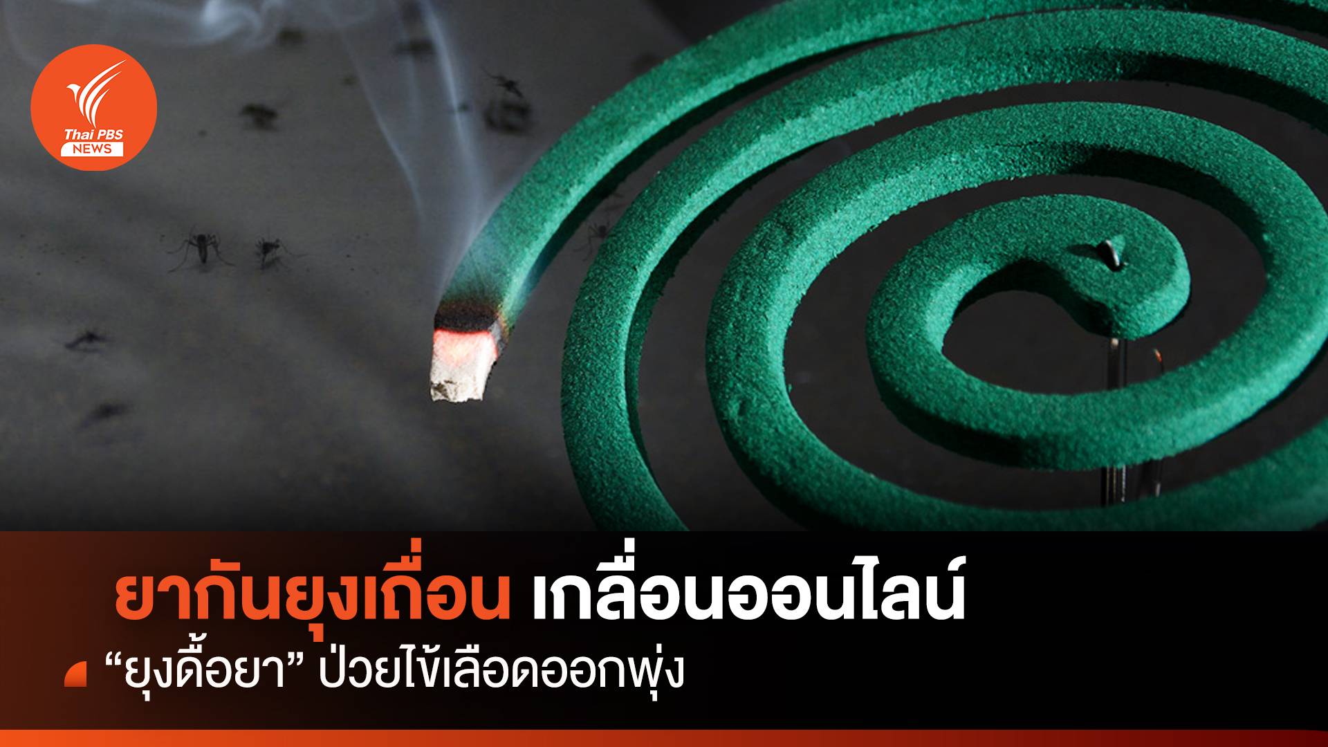 ยากันยุงเถื่อน เกลื่อนออนไลน์ "ยุงดื้อยา"ป่วยไข้เลือดออกพุ่ง