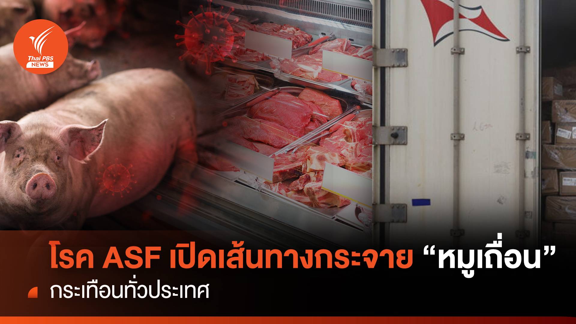 โรค ASF  เปิดเส้นทางกระจาย "หมูเถื่อน" กระเทือนทั่วประเทศ