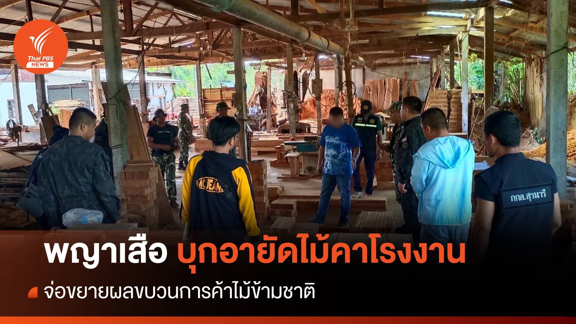 พญาเสืออายัดไม้คาโรงงาน จ่อขยายผลแก๊งค้าไม้ข้ามชาติ