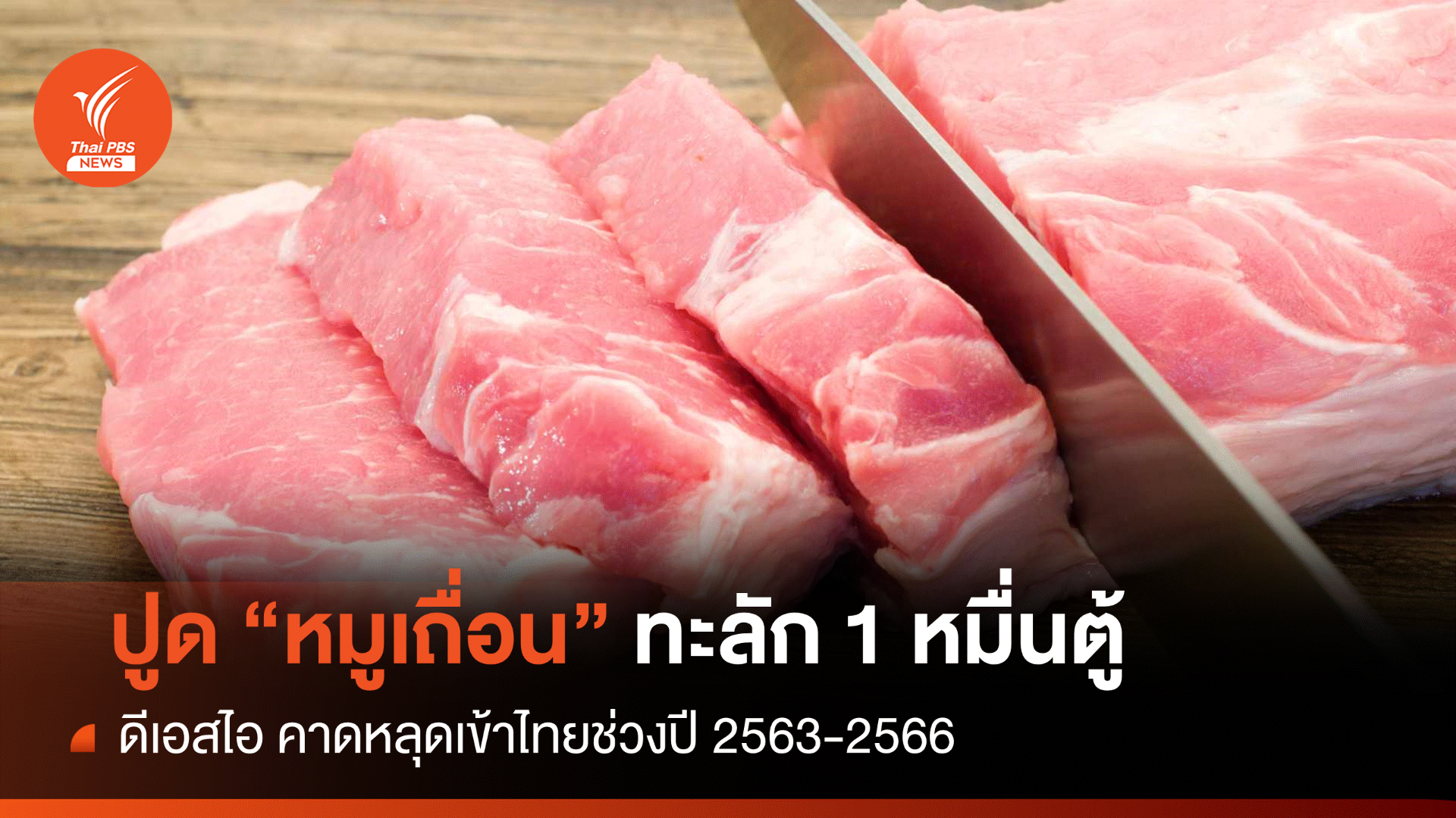 ช็อก! หมูเถื่อนทะลัก 10,000 ตู้ ช่วงปี 2563-2566