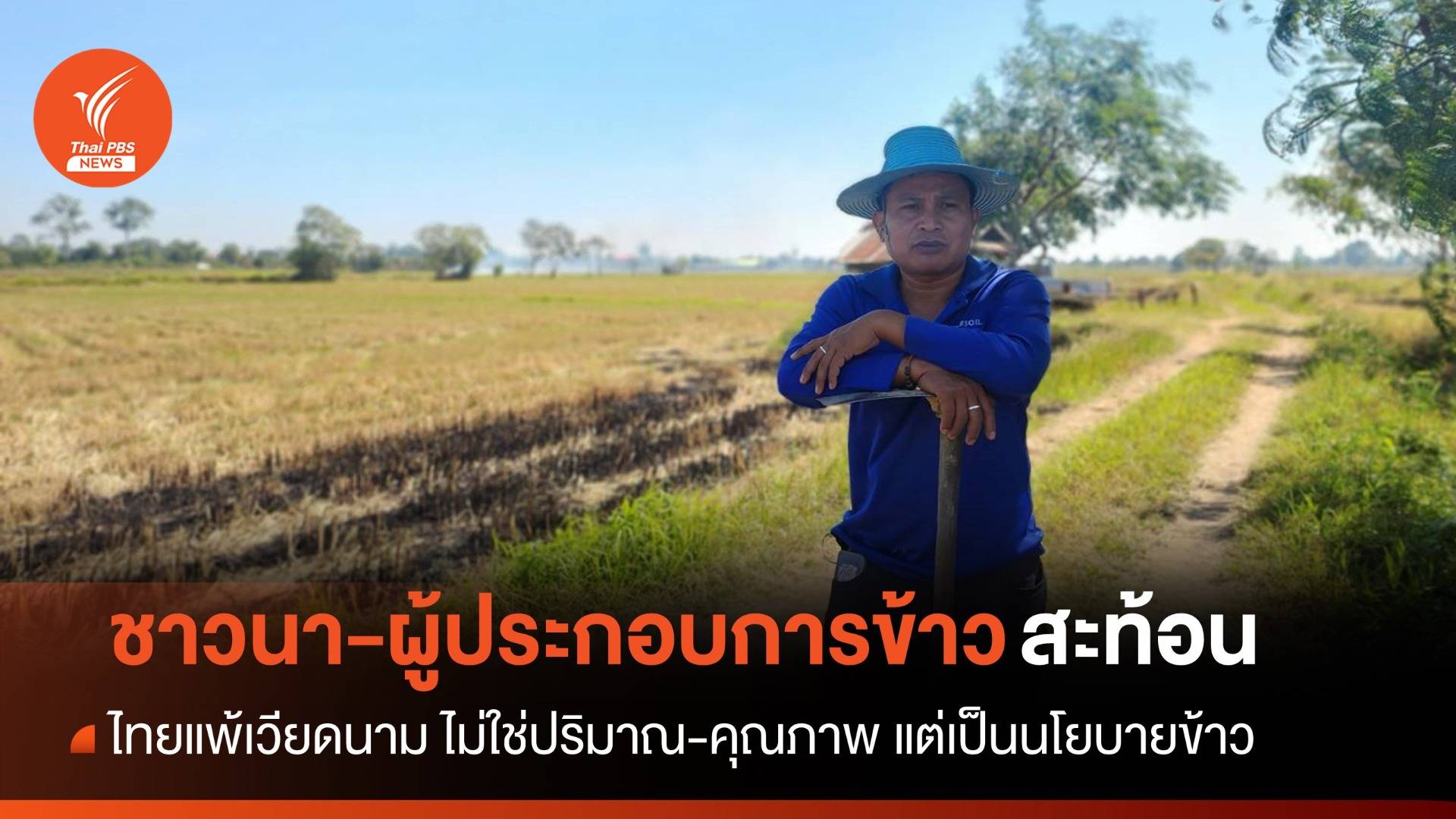 เสียงชาวนา ไทยเสียแชมป์ข้าวจากนโยบายรัฐ ไม่ใช่ปริมาณ-คุณภาพข้าว