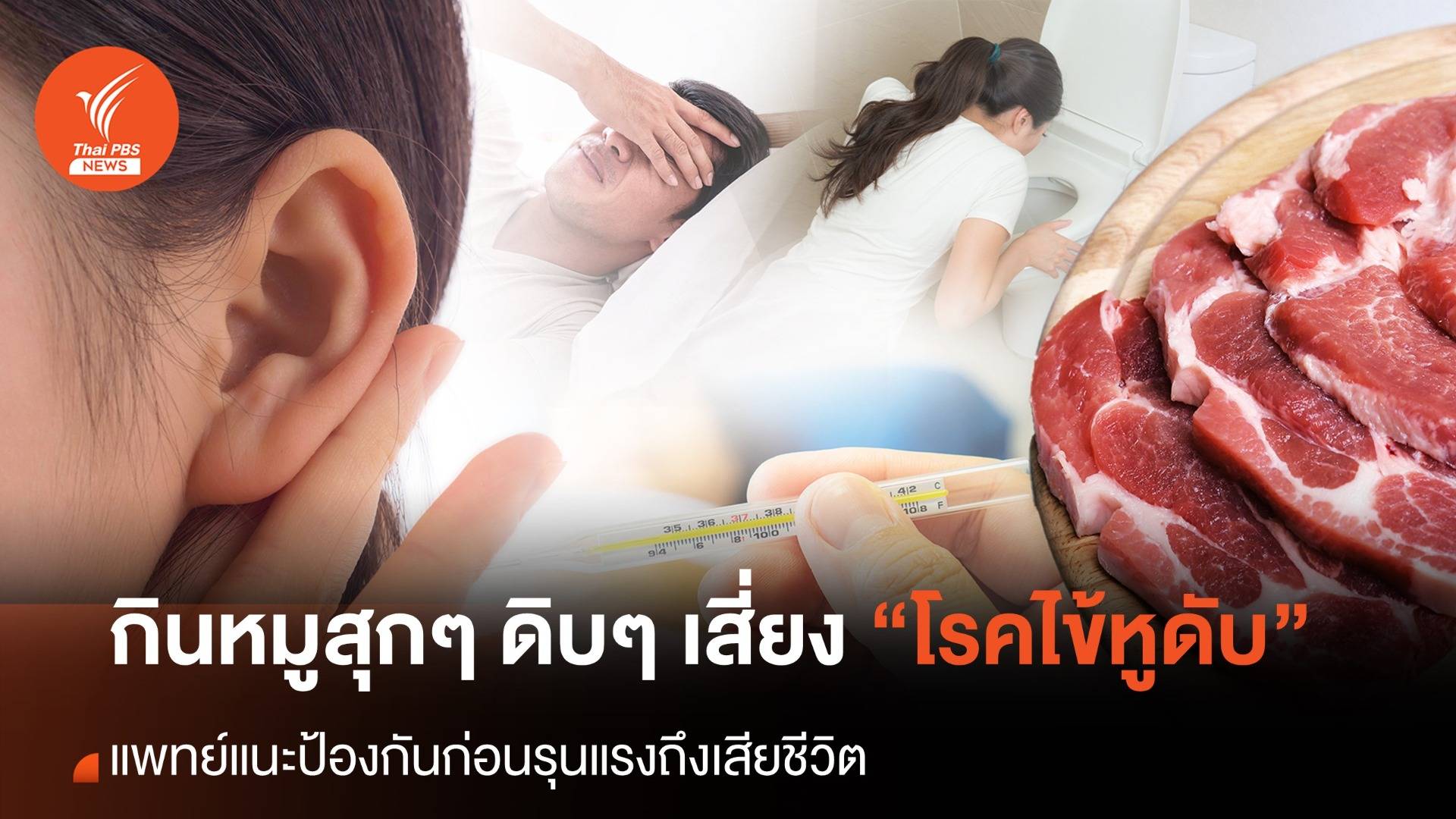 กินหมูสุกๆ ดิบๆ เสี่ยง "โรคไข้หูดับ"