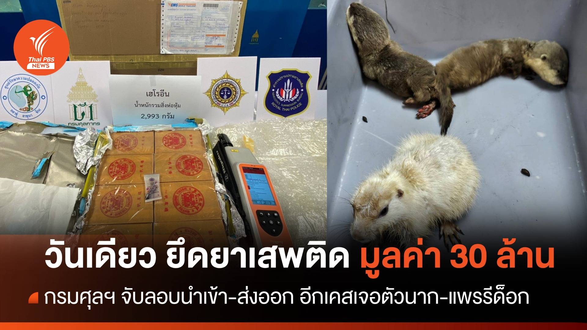 กรมศุลฯ เข้ม กวาดล้างยาเสพติดส่งเข้าไทยกว่า 30 ล้าน