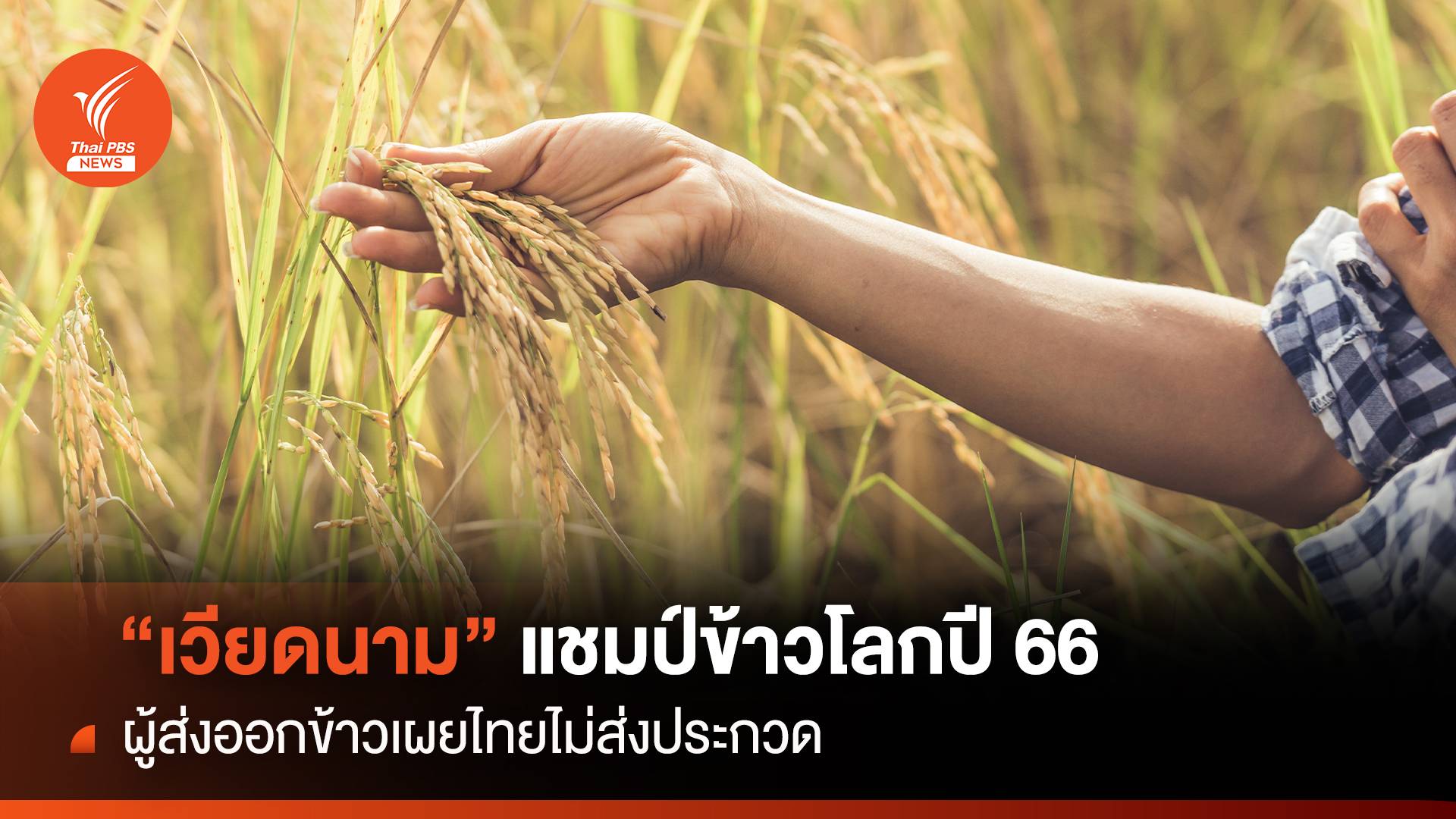 “เวียดนาม” แชมป์ข้าวโลกปี 66 ผู้ส่งออกข้าวเผยไทยไม่ส่งประกวด