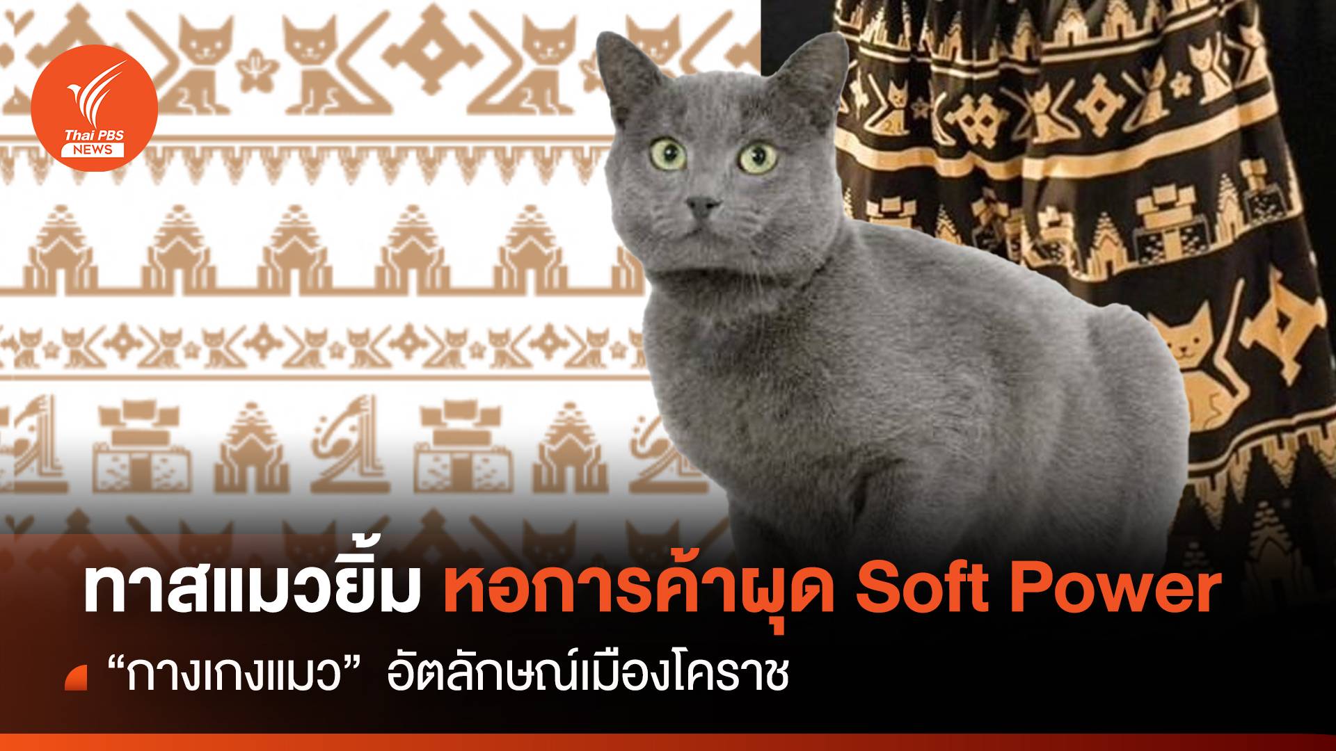 ทาสแมวยิ้ม ผุด Soft Power “กางเกงแมว"  อัตลักษณ์เมืองโคราช