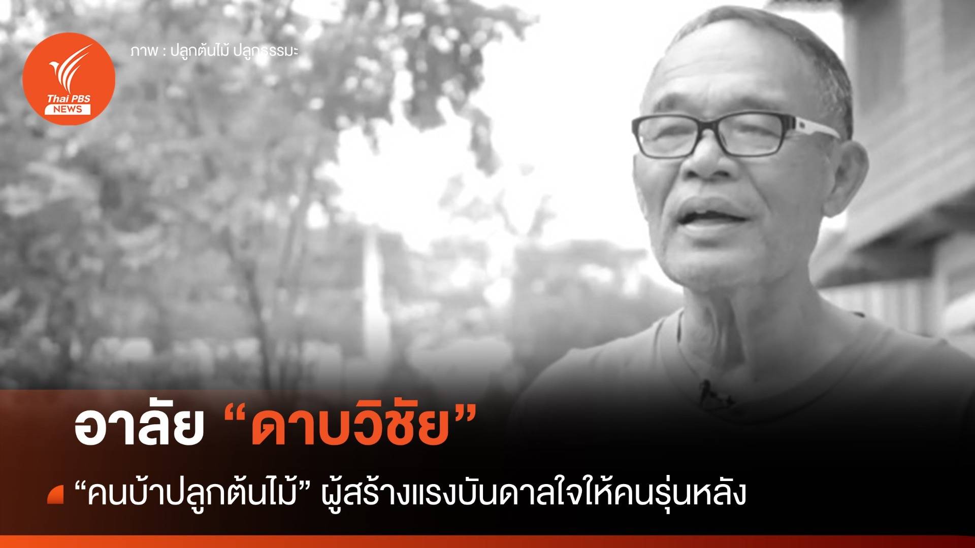 อาลัย "ดาบวิชัย" คนบ้าปลูกต้นไม้ ผู้สร้างแรงบันดาลใจให้คนรุ่นหลัง