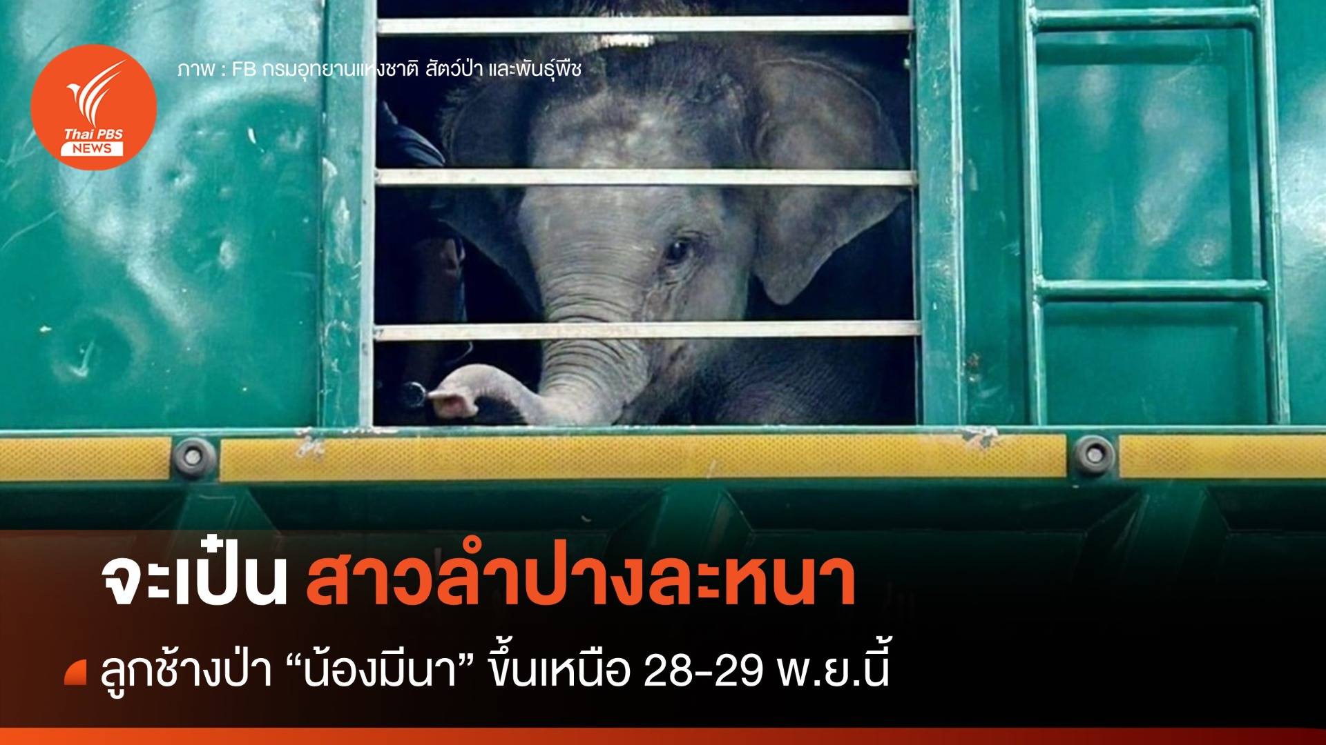 "น้องมีนา" จะเป๋นสาวลำปางแล้วหนา ขึ้นเหนือ 28-29 พ.ย.นี้เจ้า