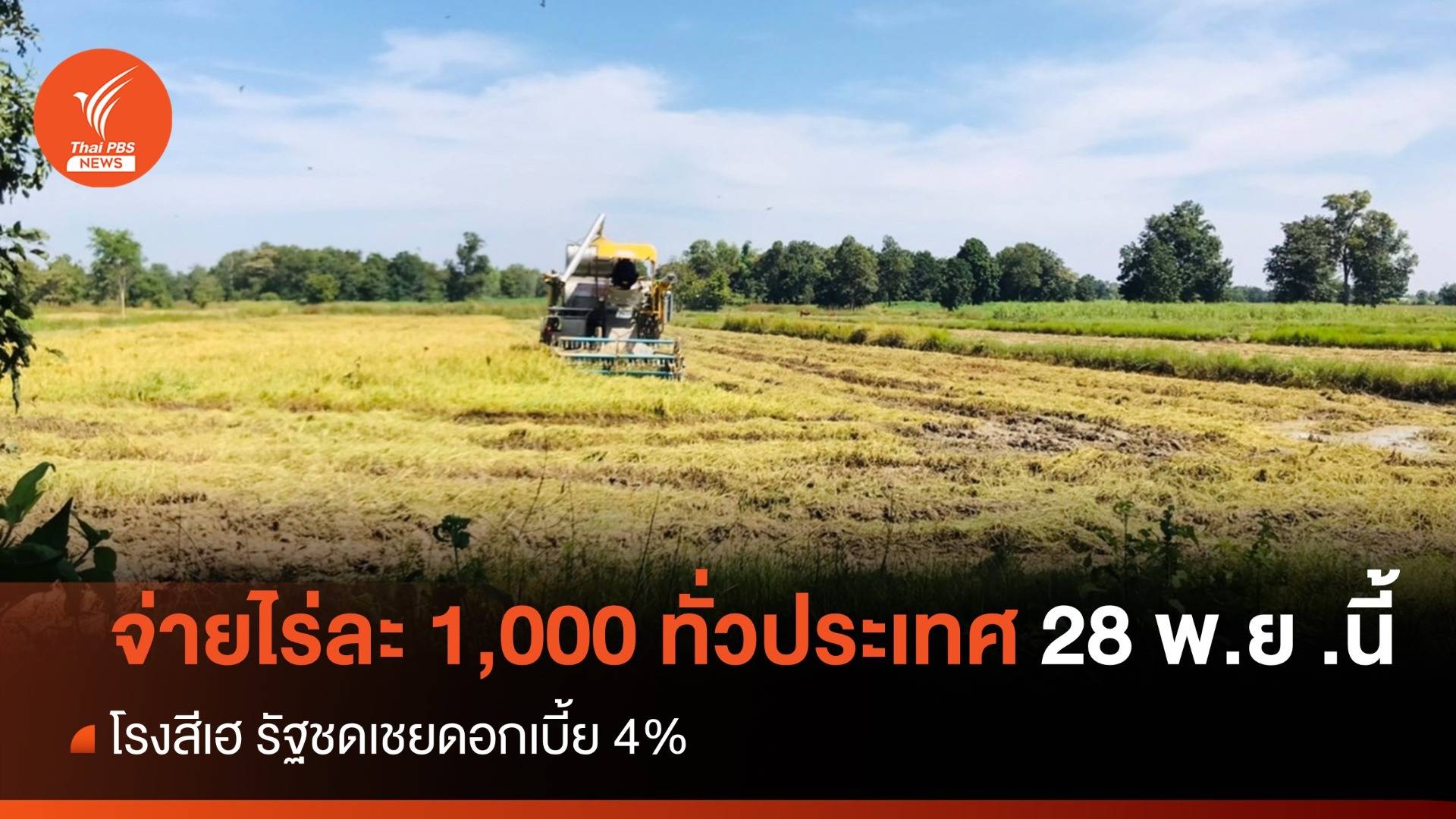 จ่ายไร่ละ 1,000 ทั่วปท. 28 พ.ย .นี้ โรงสีเฮ รัฐชดเชยดอกเบี้ยละ 4%