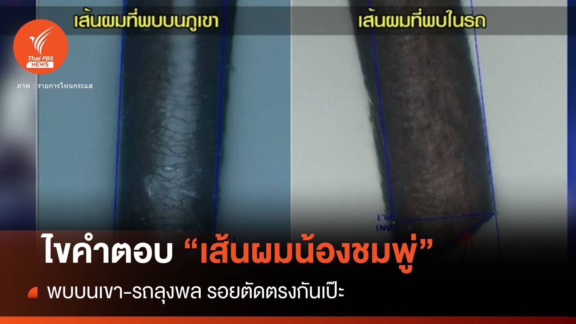 เปิดหลักฐาน "เส้นผม" น้องชมพู่ มีรอยตัดตรงกับบนเขา-รถลุงพล