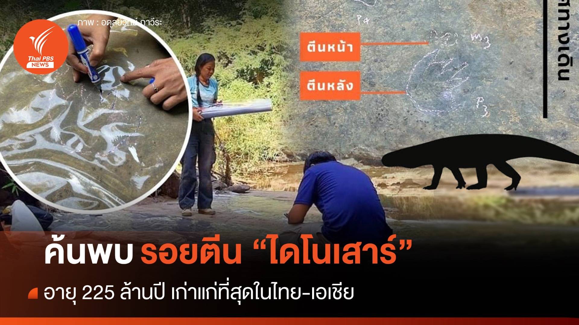 ค้นพบรอยตีน "ไดโนเสาร์" อายุ 225 ล้านปี เก่าแก่ที่สุดในไทย-เอเชีย