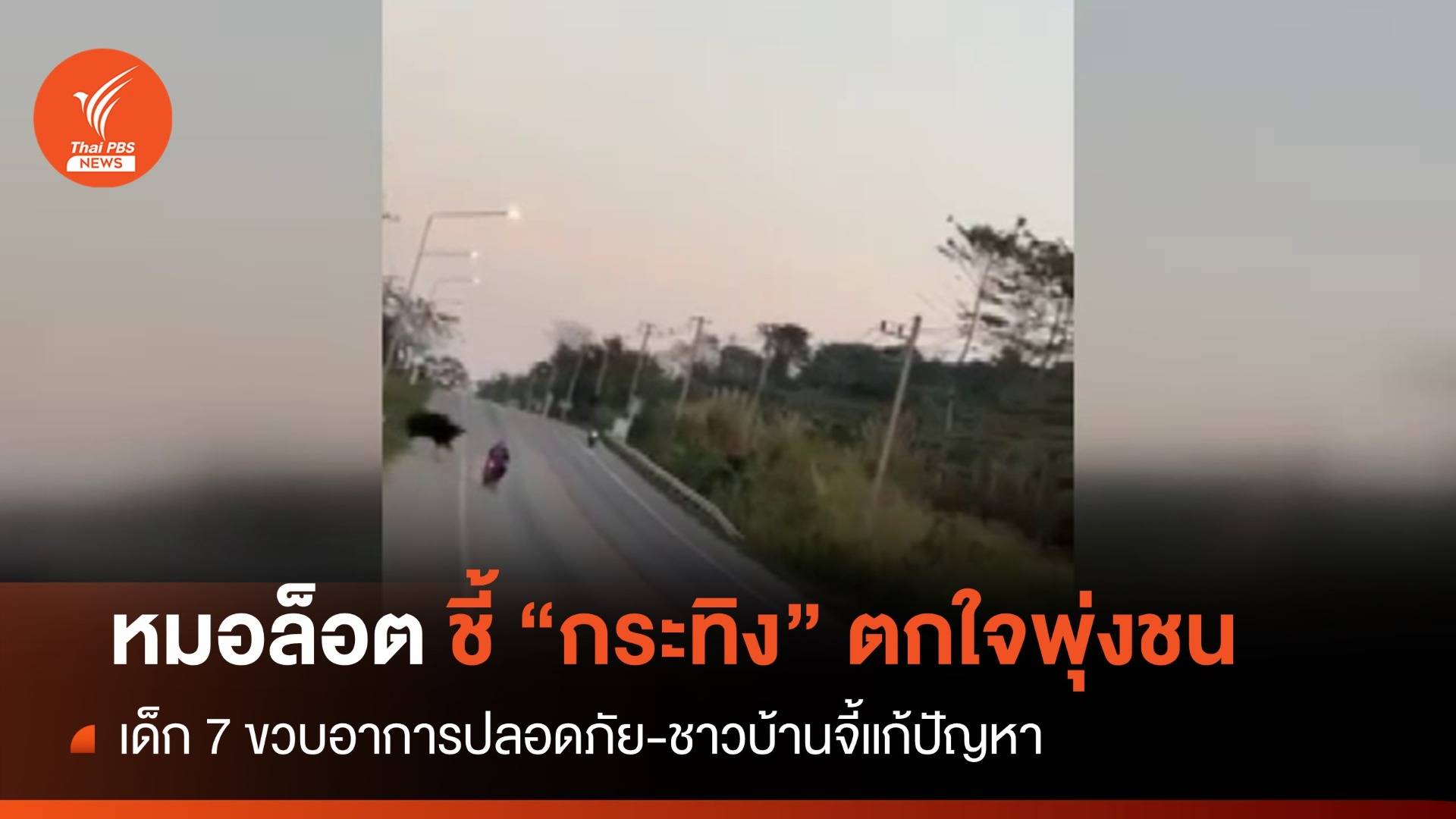 หมอล็อต ชี้ "กระทิง" ตกใจกระโจนชนเด็ก 7 ขวบเจ็บ-อาการปลอดภัย