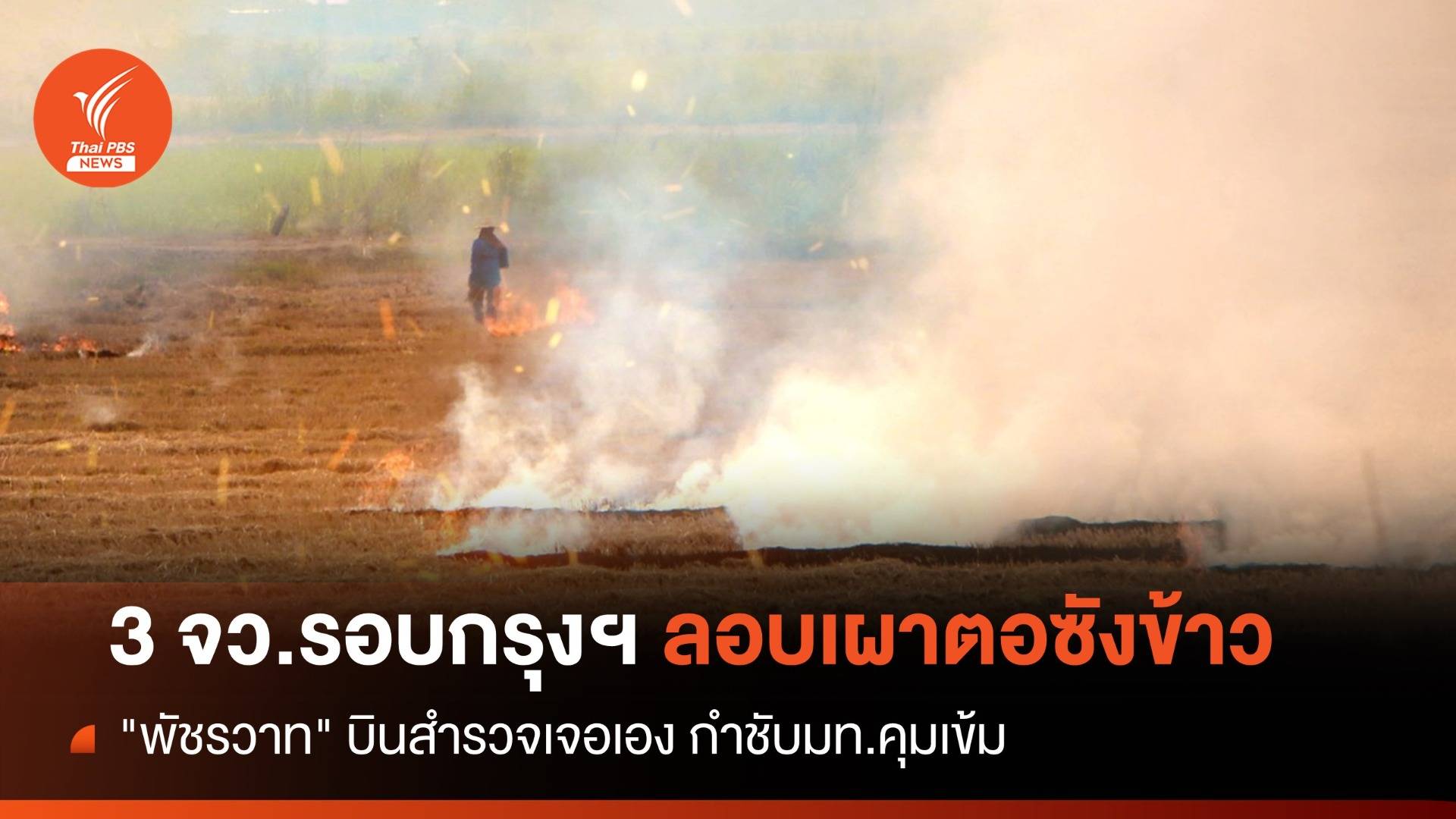 "พัชรวาท" บินสำรวจ 3 จว.รอบกรุงเผาตอซัง-ประสานมท.คุมเข้ม