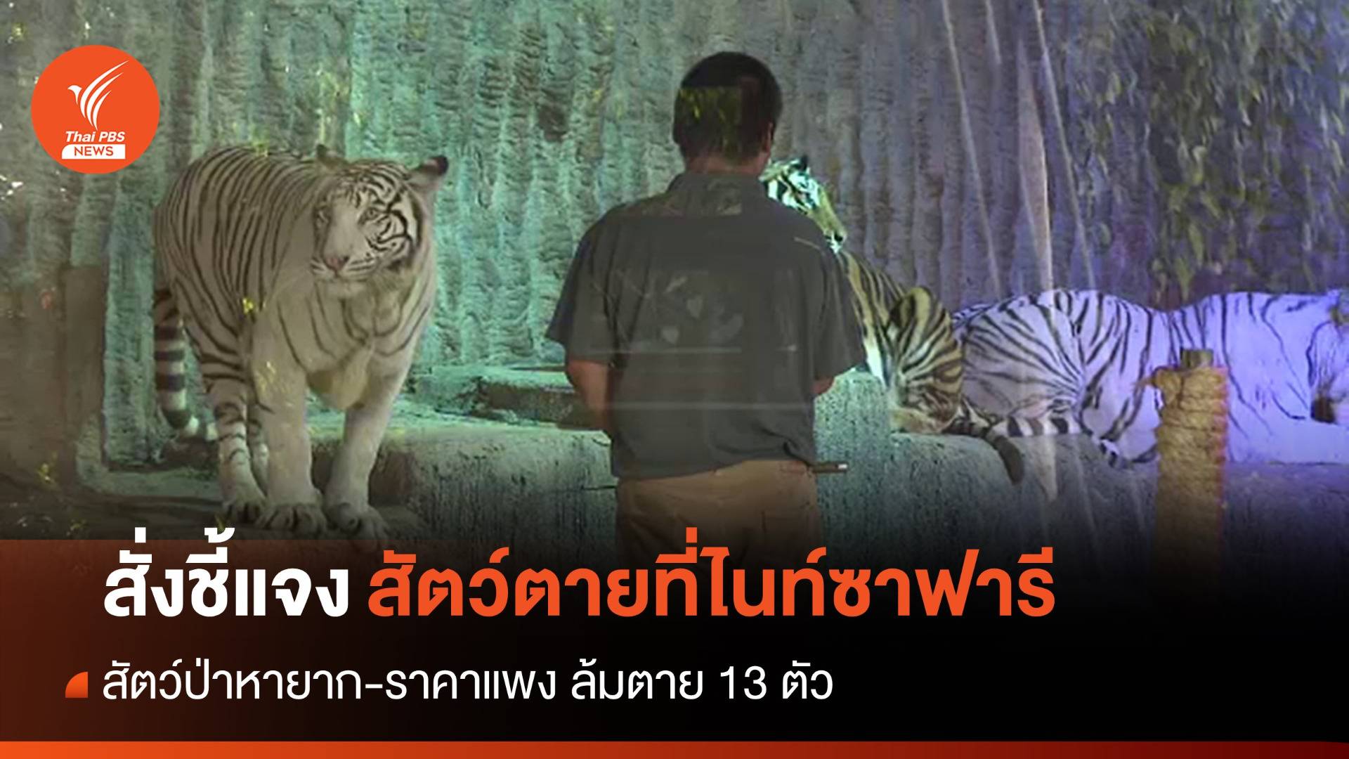 นายกฯ สั่งชี้แจงปมสัตว์ในเชียงใหม่ไนท์ซาฟารีตาย 13 ตัว