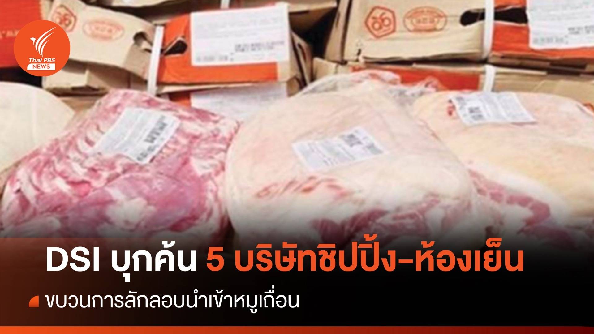 DSI บุกค้น 5 บ.ชิปปิ้ง-ห้องเย็น โยงขบวนการลักลอบนำเข้าหมูเถื่อน